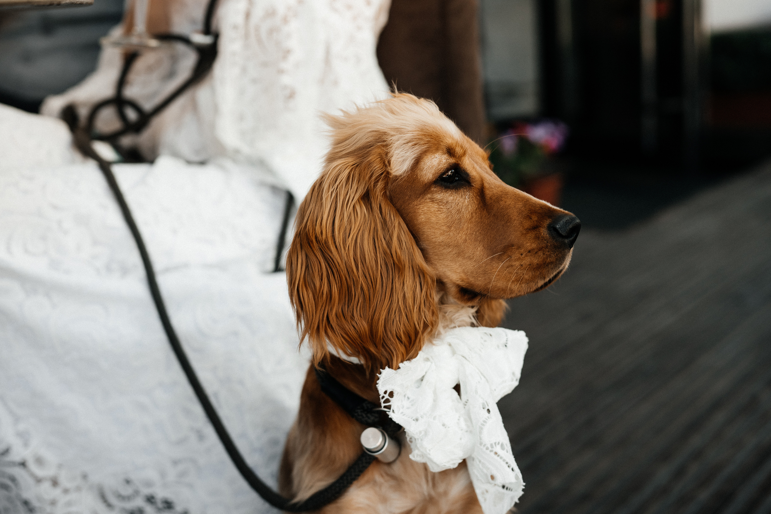 Love story на троих. Фотограф Аля Овчарова