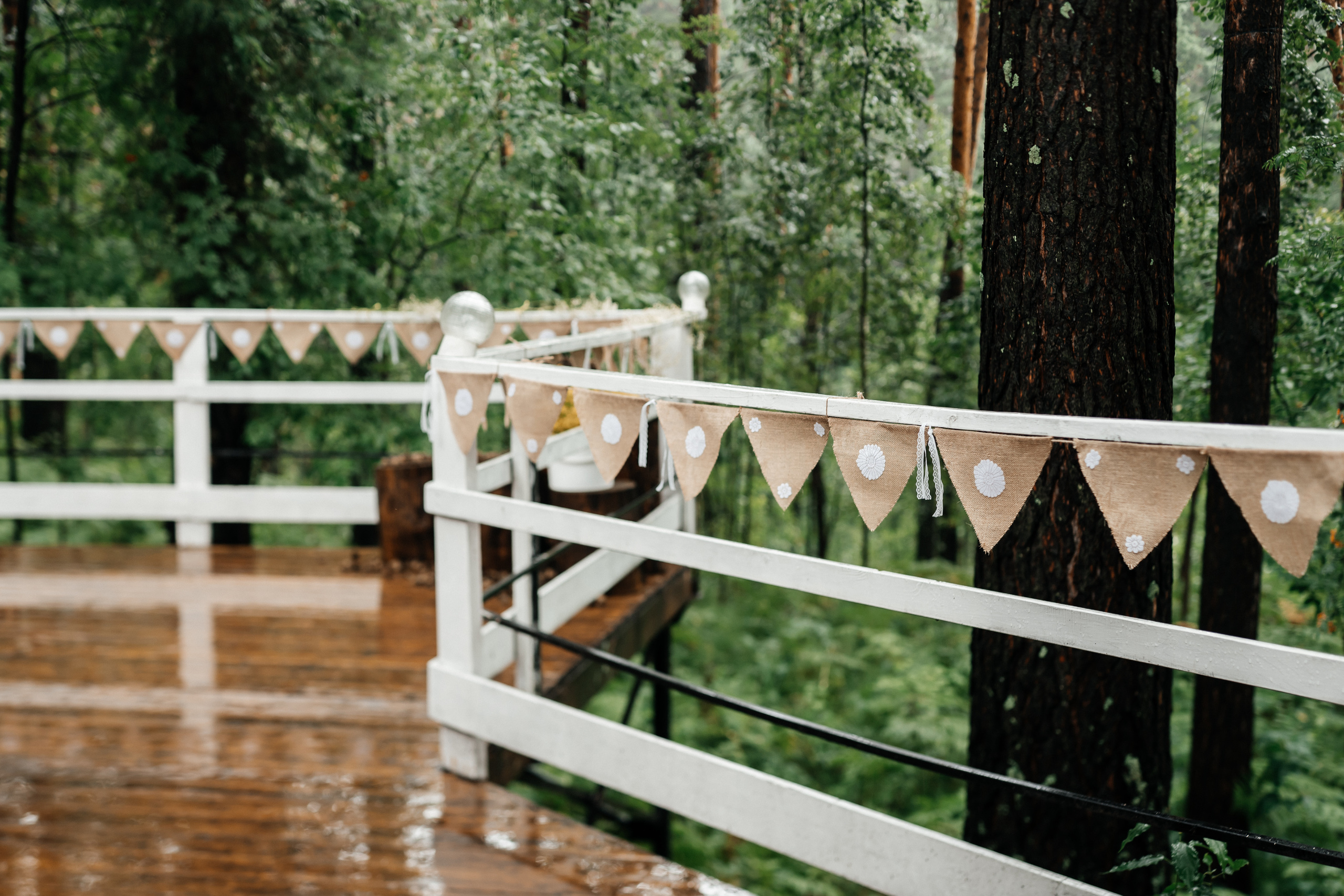 Свадьба Александра и Кристины. Фотограф Аля Овчарова