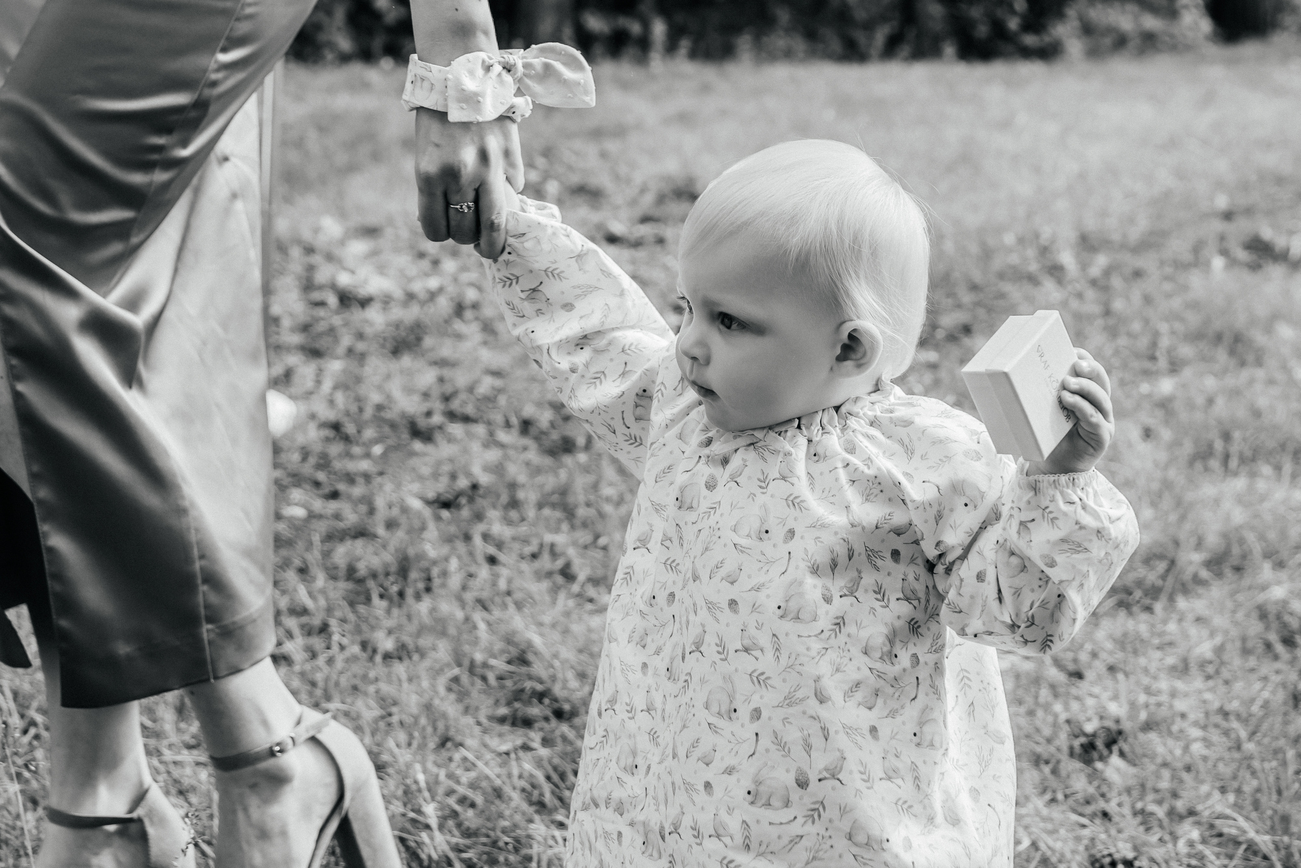 Свадьба Романа и Ксении. Фотограф Аля Овчарова