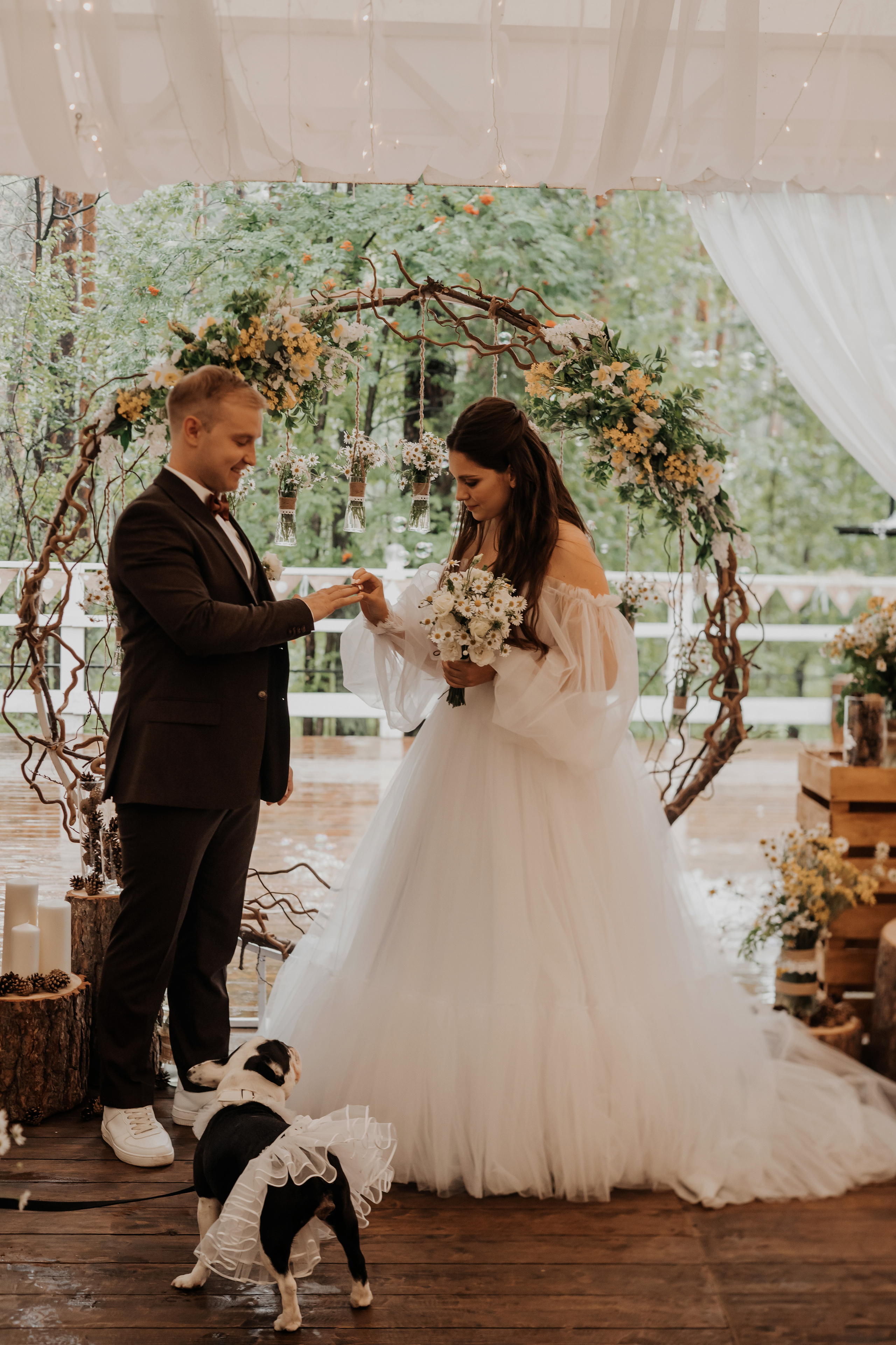 Свадьба Александра и Кристины. Фотограф Аля Овчарова