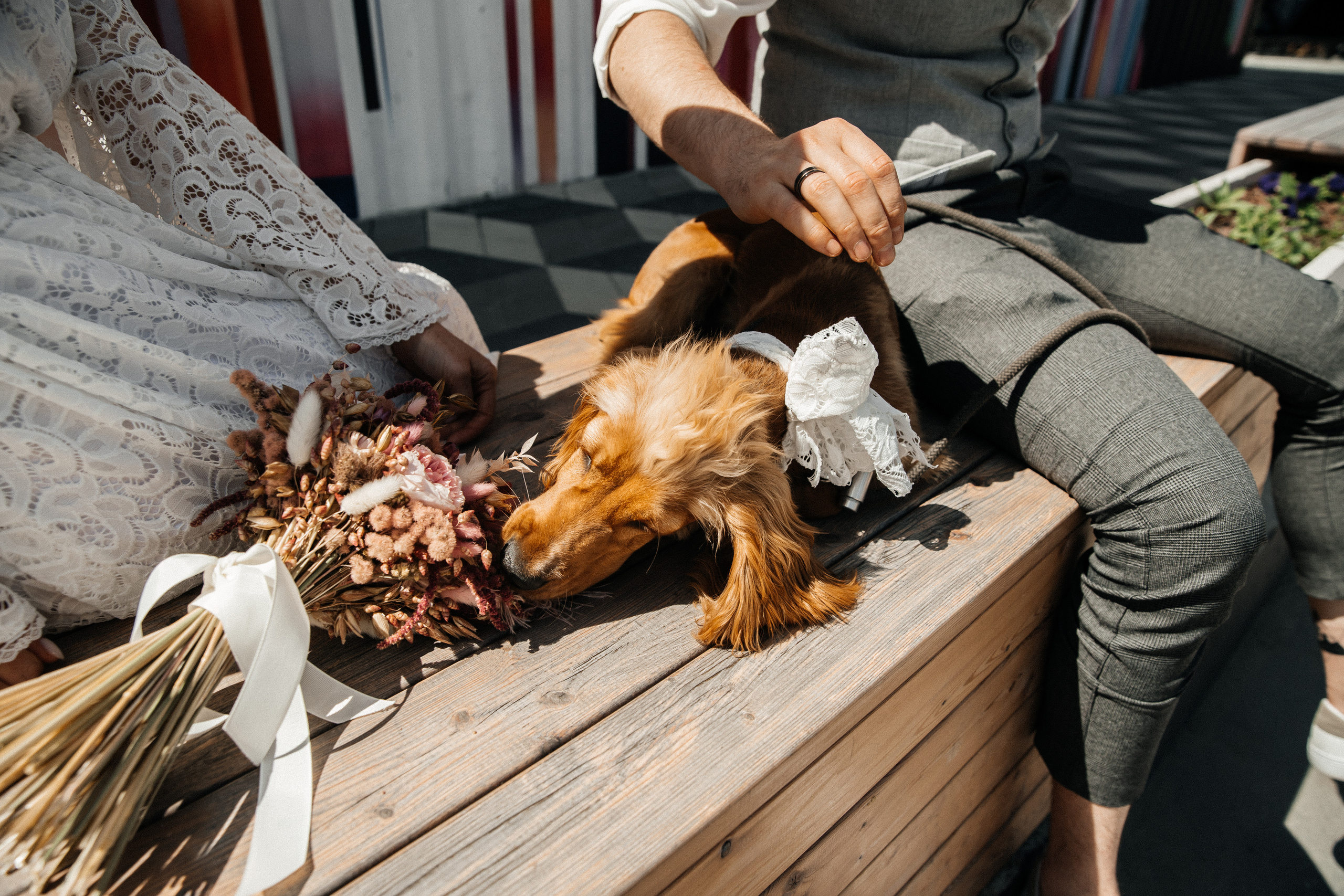 Love story на троих. Фотограф Аля Овчарова