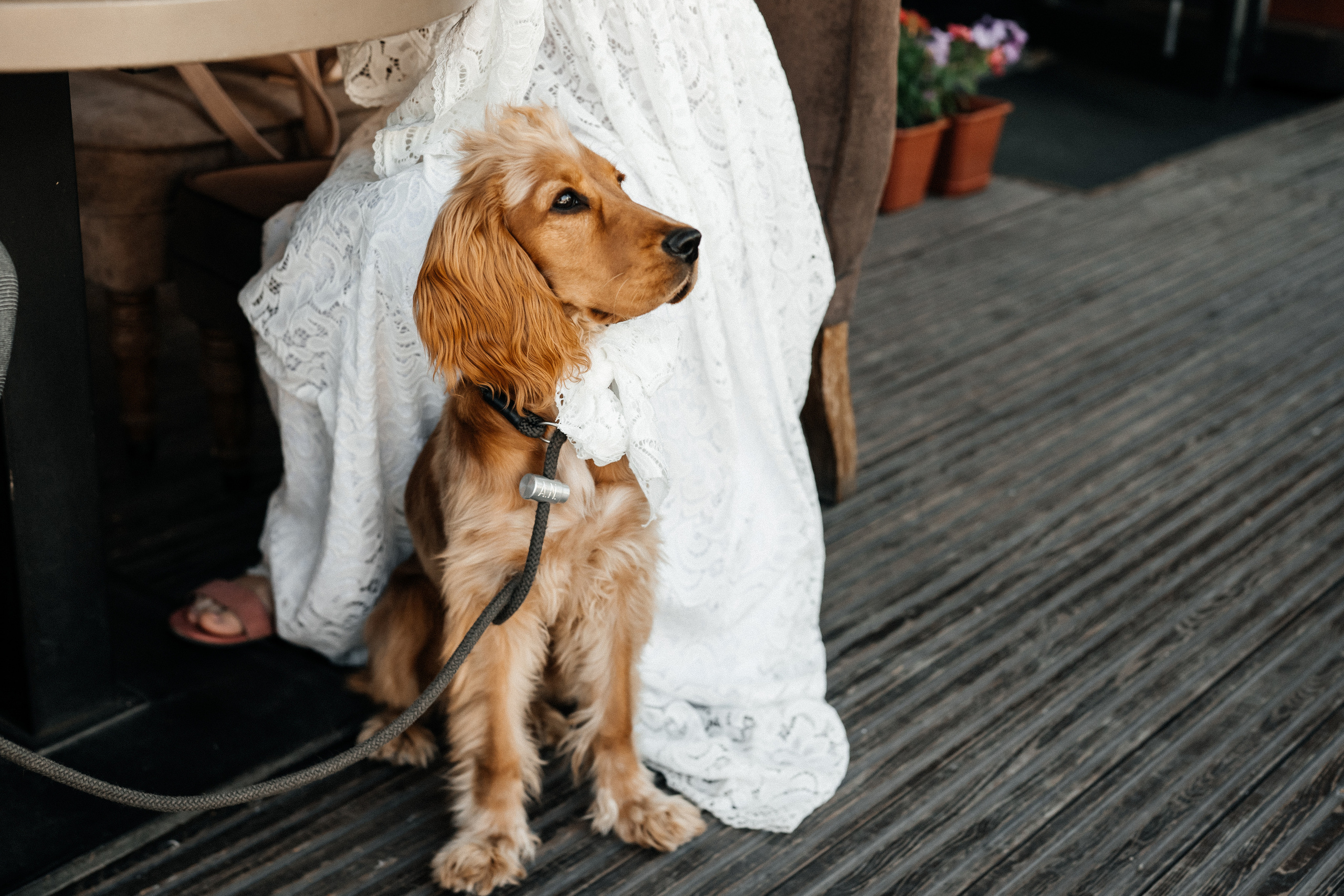 Love story на троих. Фотограф Аля Овчарова