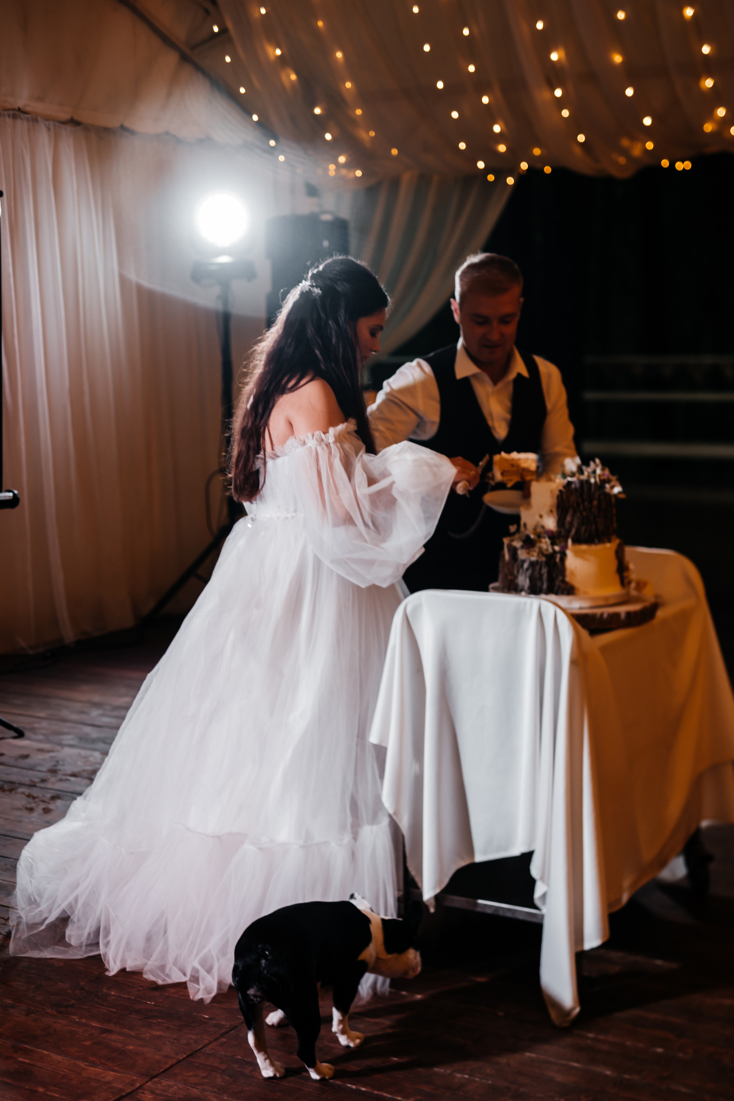 Свадьба Александра и Кристины. Фотограф Аля Овчарова