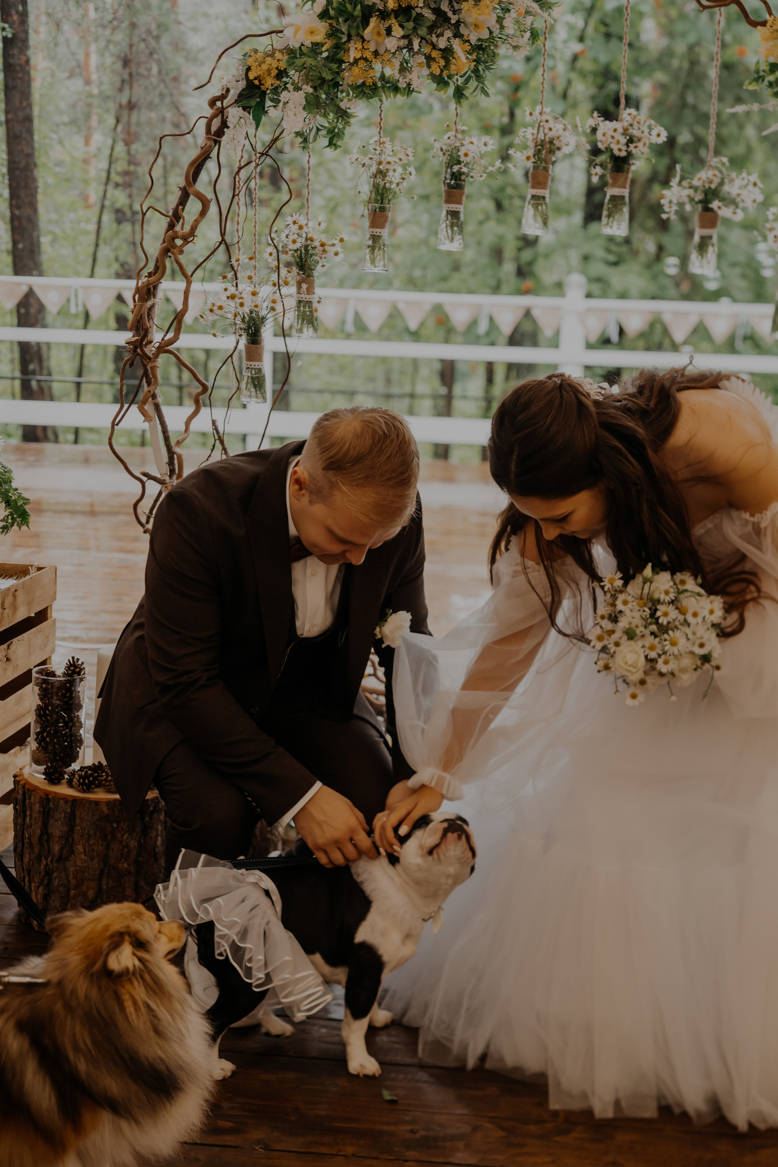 Свадьба Александра и Кристины. Фотограф Аля Овчарова