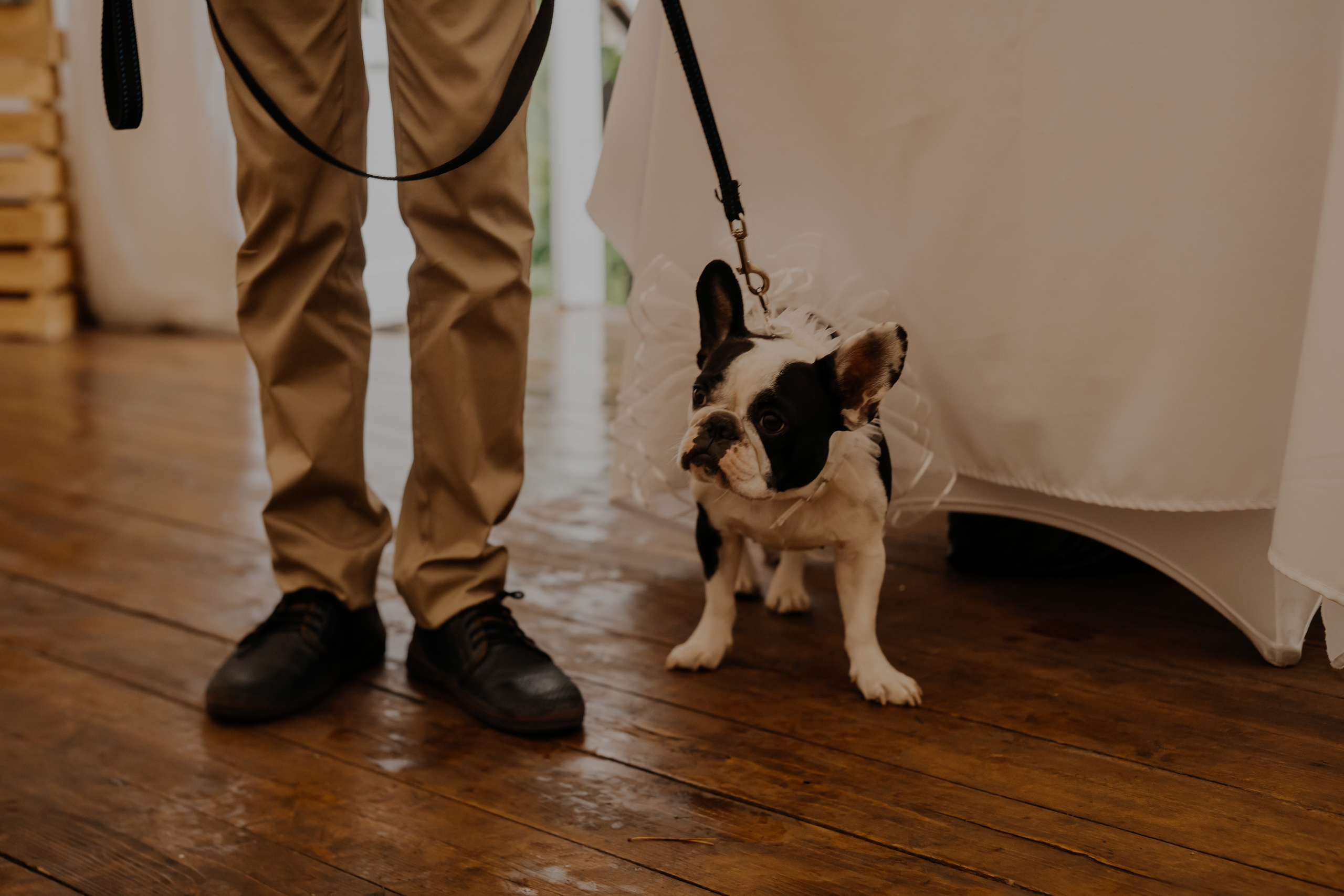 Свадьба Александра и Кристины. Фотограф Аля Овчарова