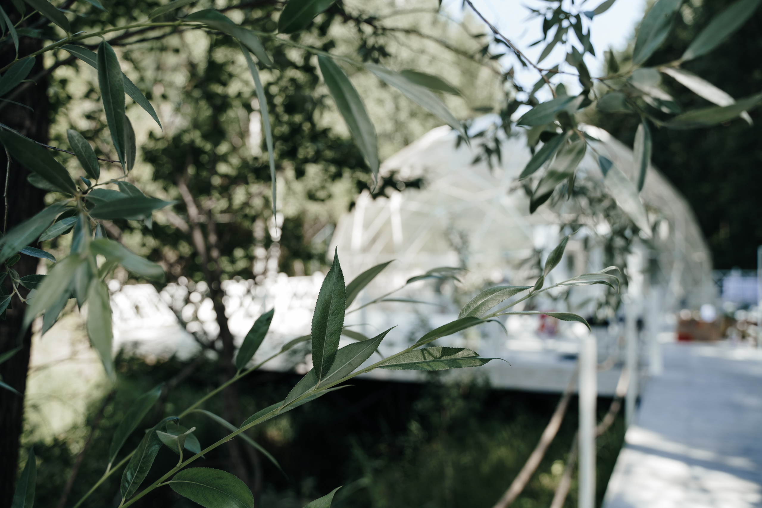 Анель и Александр и их свадебный день. Фотограф Аля Овчарова