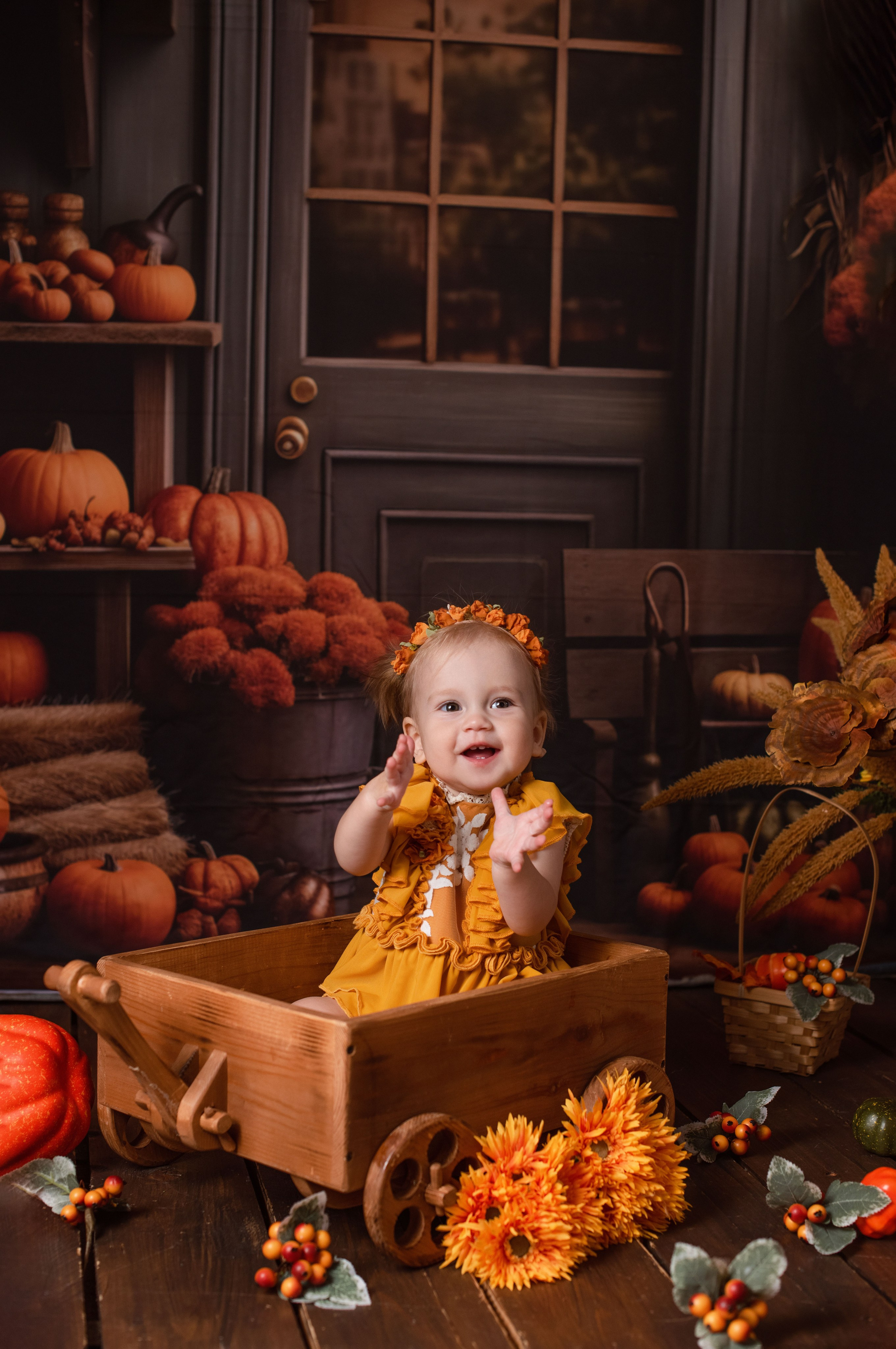 Годики. Фотограф Новорожденных во Владивостоке Ольга Галаницкая