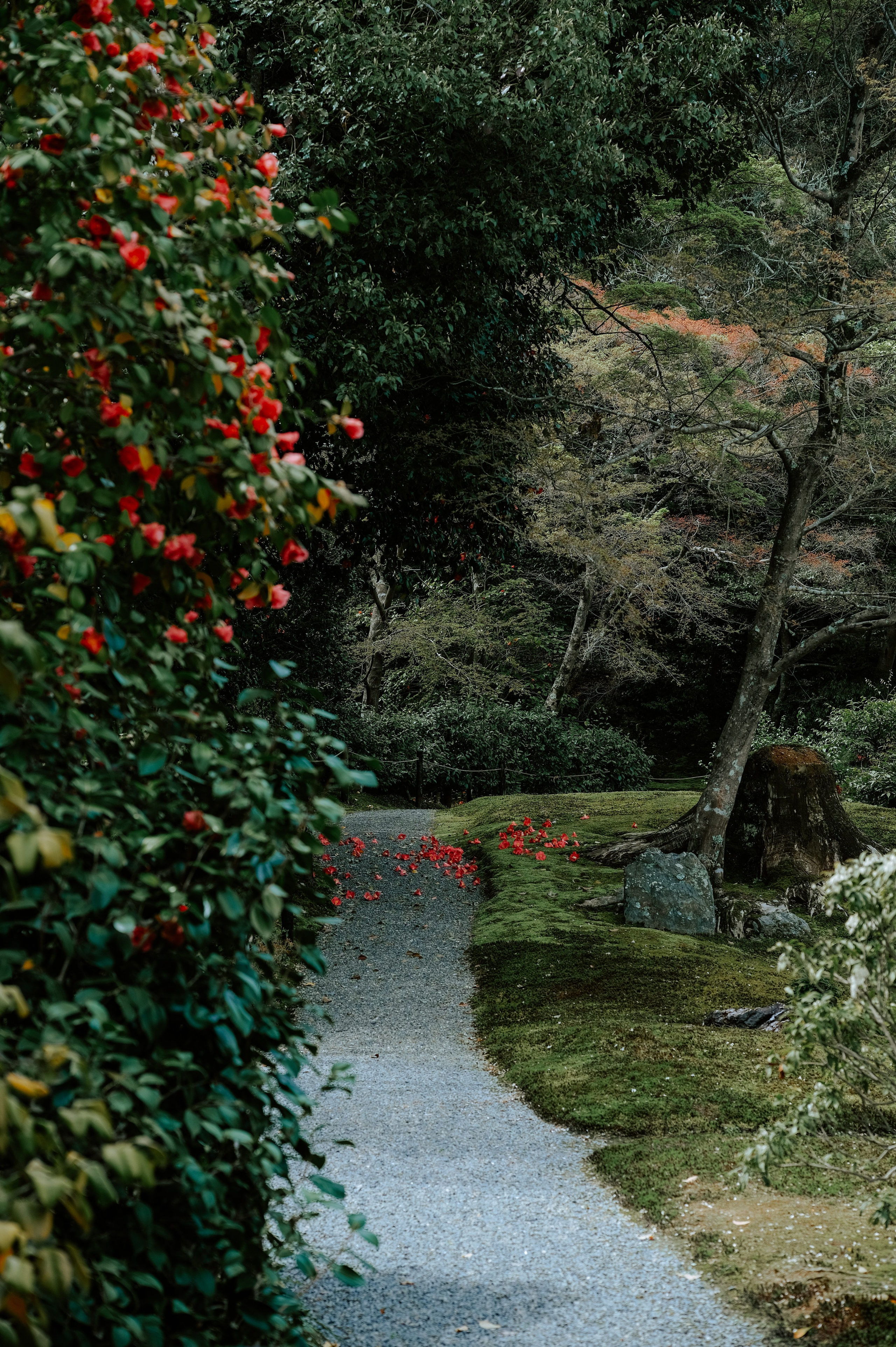 Nippon. Главная