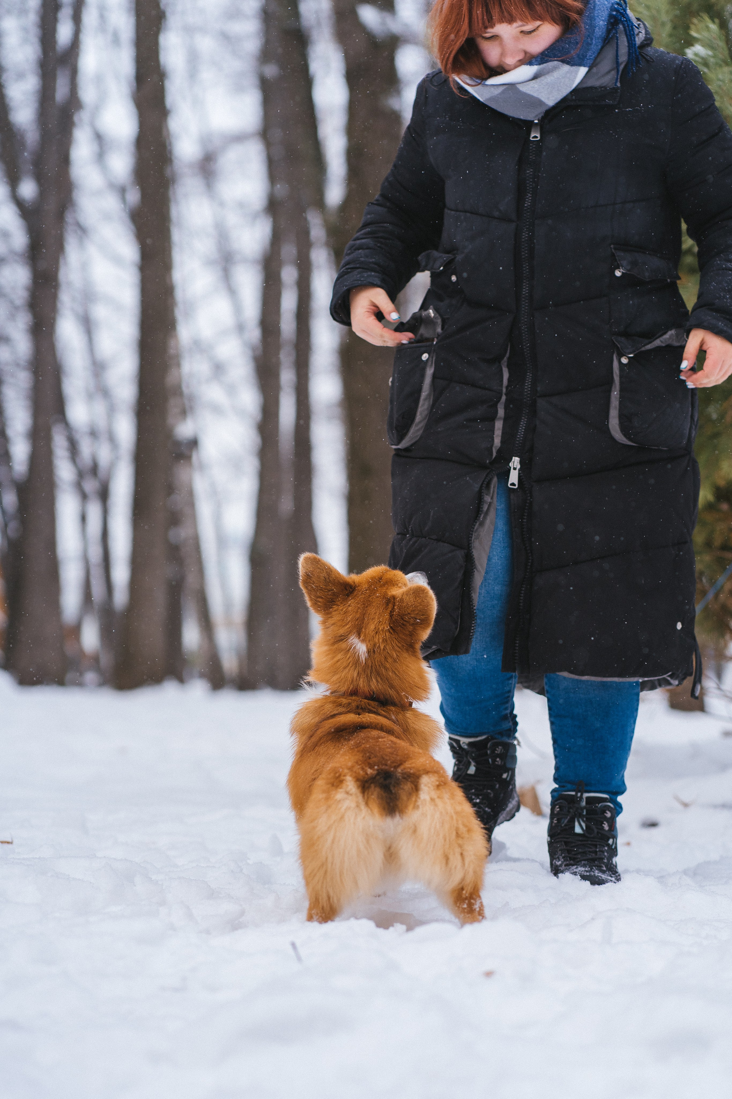 Агата и Лайк. Свадебный фотограф в Москве Анна Полушина