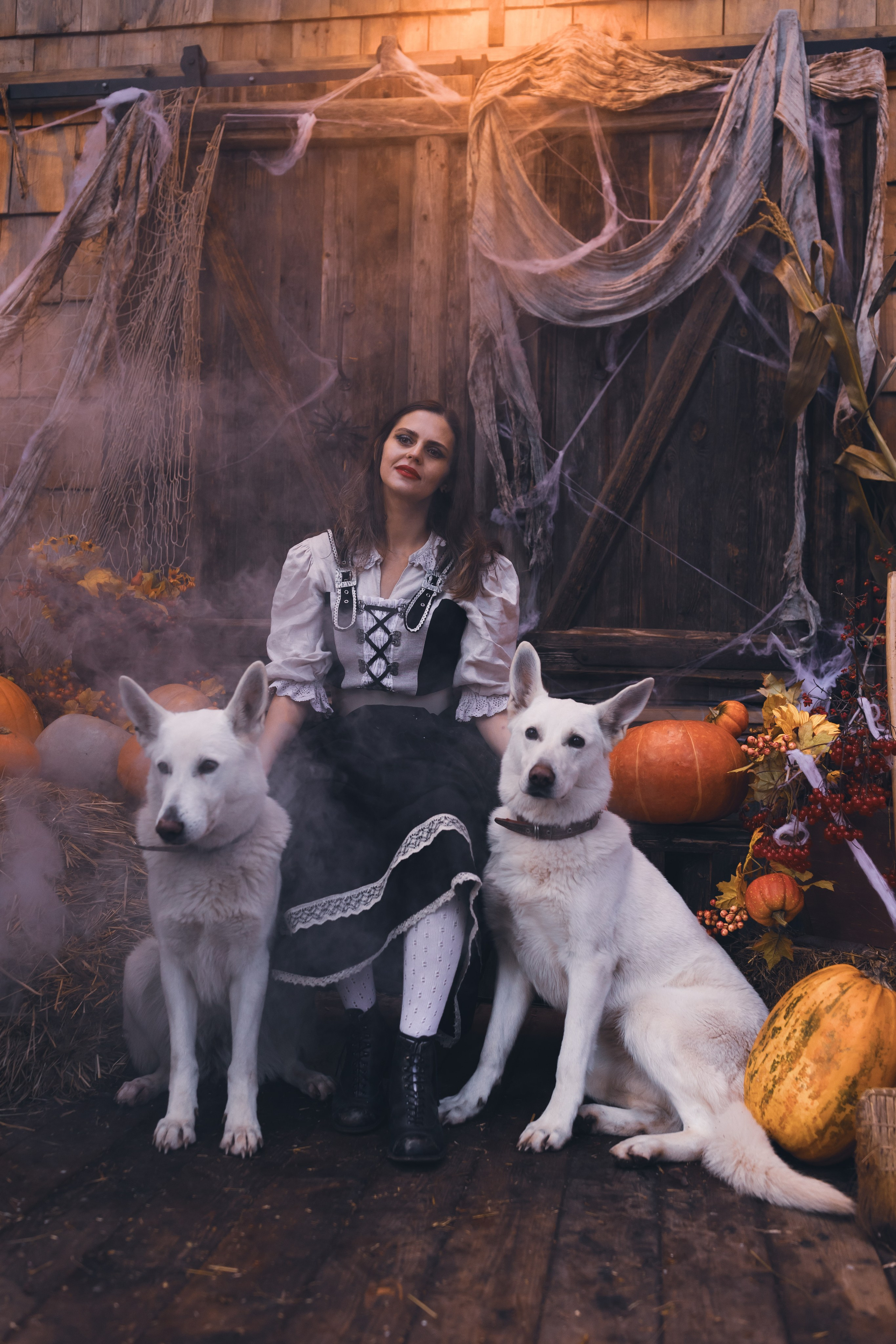 Тайны леса. Сказочный фотограф для Вас и Вашей семьи