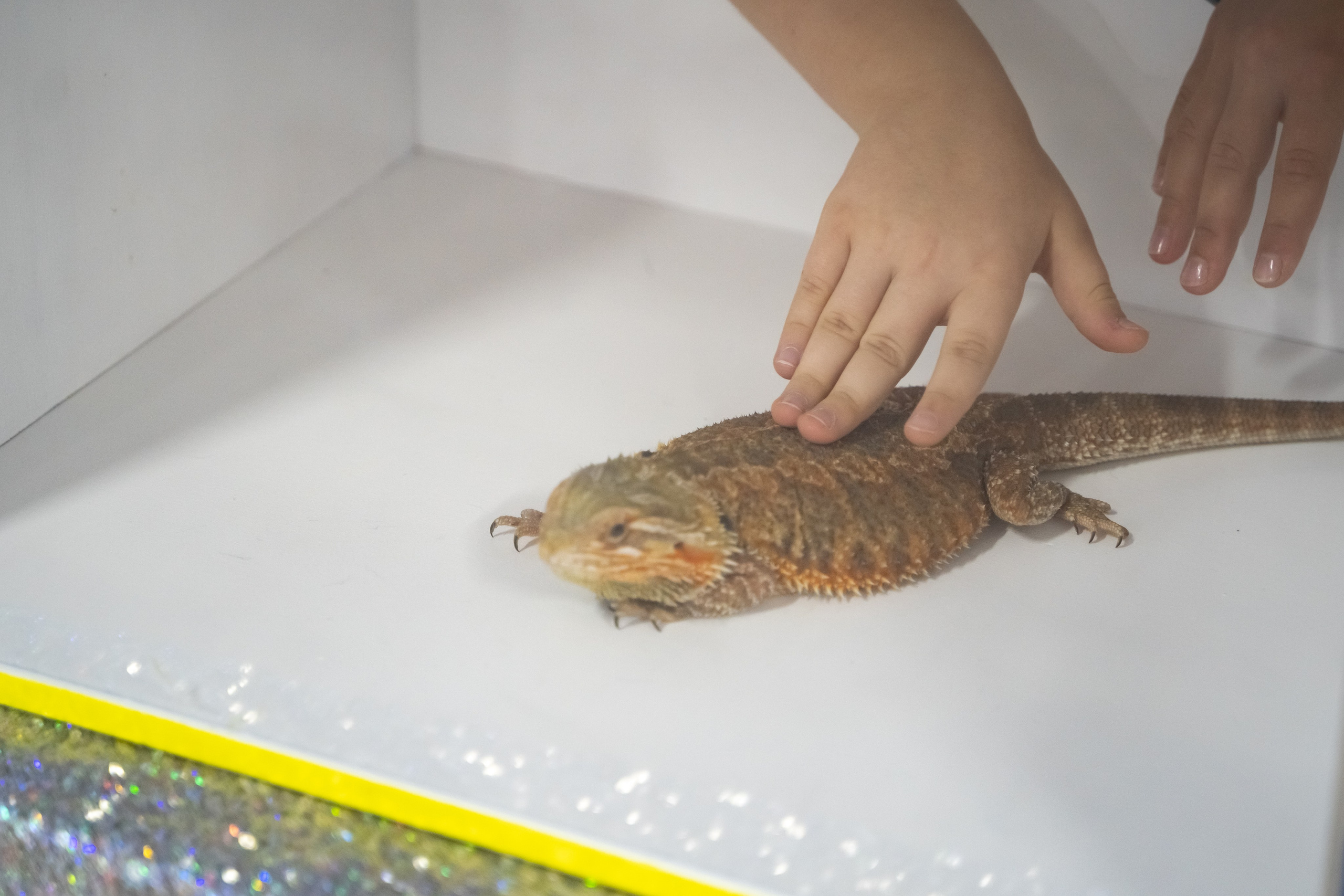 Tik Tok вечеринка. Фотограф в Одинцово, Москве