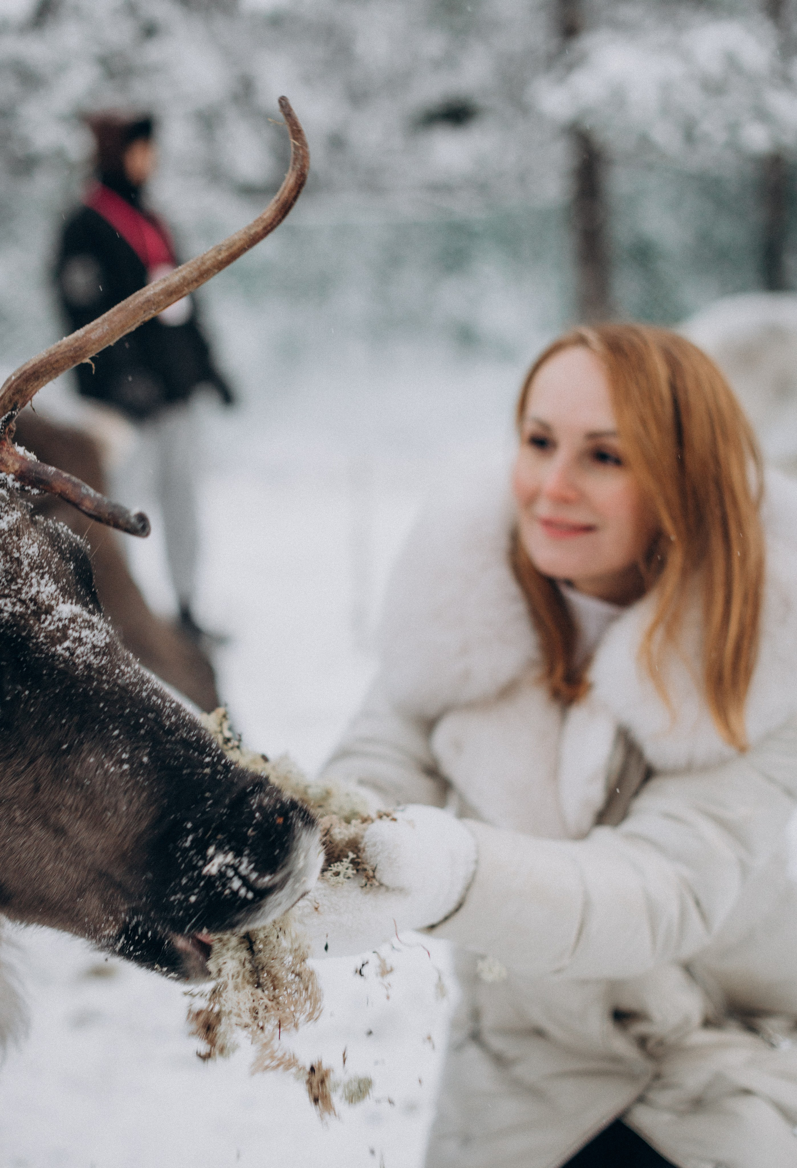 Хаски Терапия. Фотограф Наталья Могилевская Мурманск Териберка Сейдозеро Рыбачий