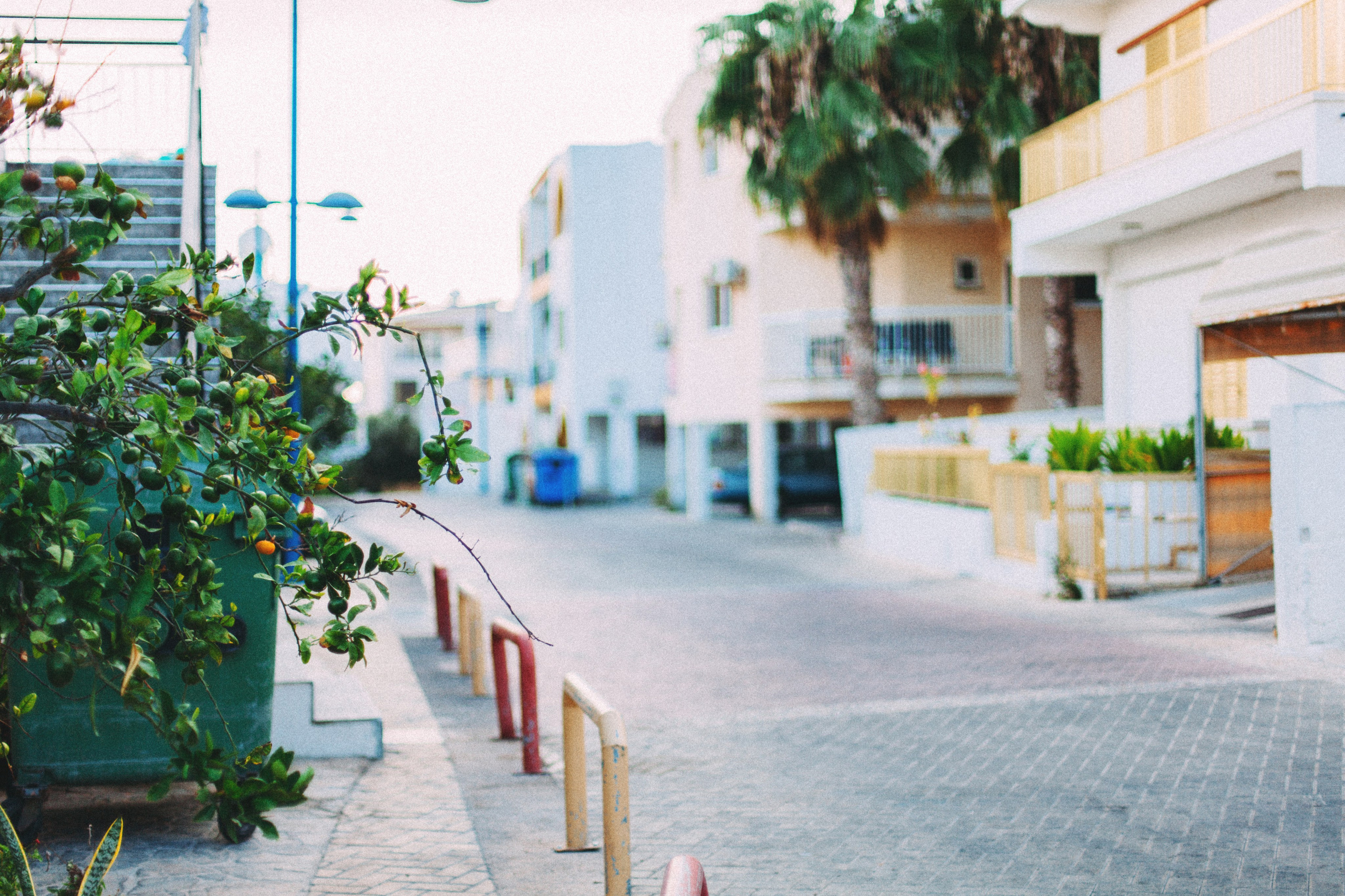 Кипр. Аня Степанова