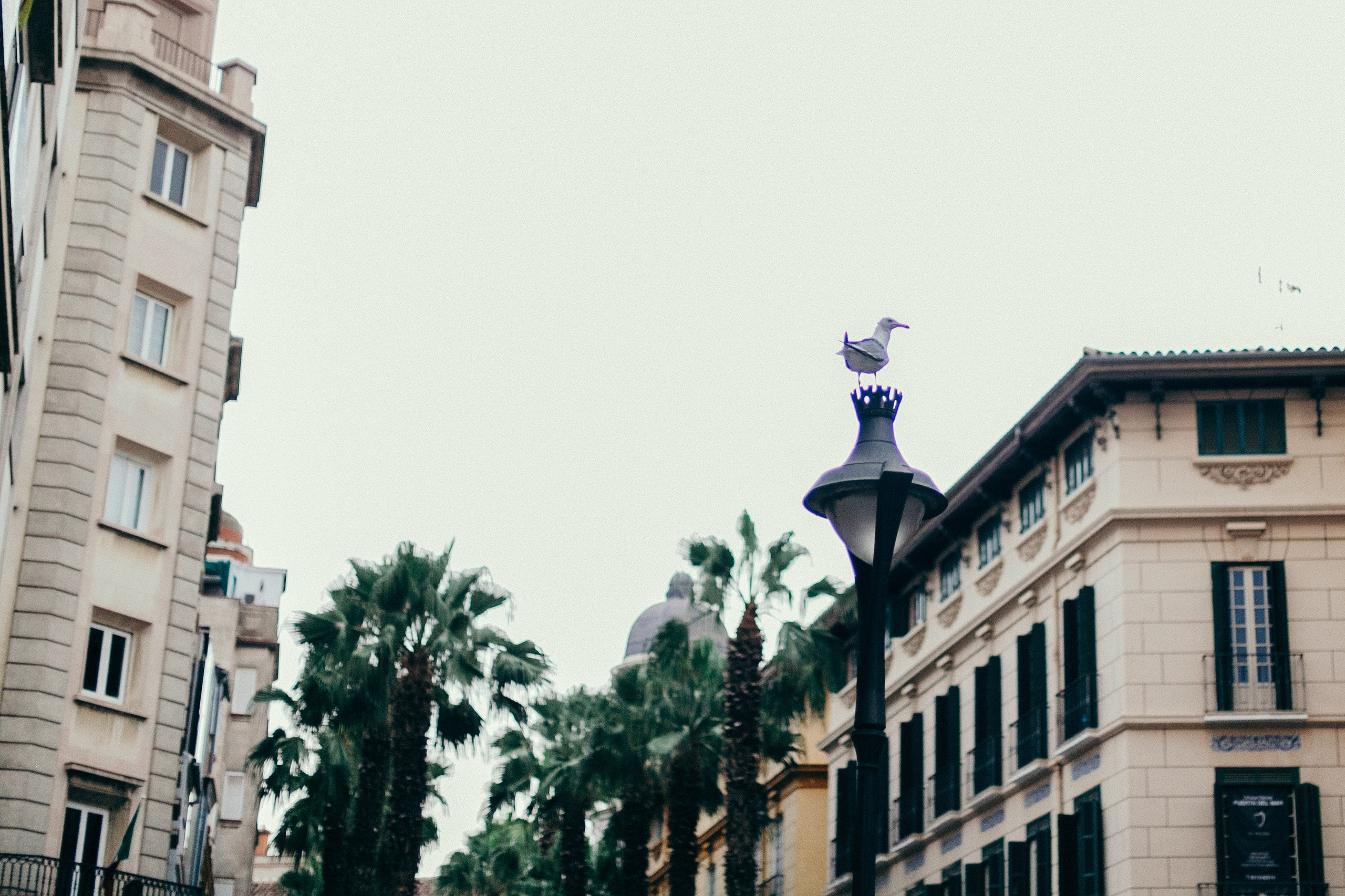 Малага. Аня Степанова