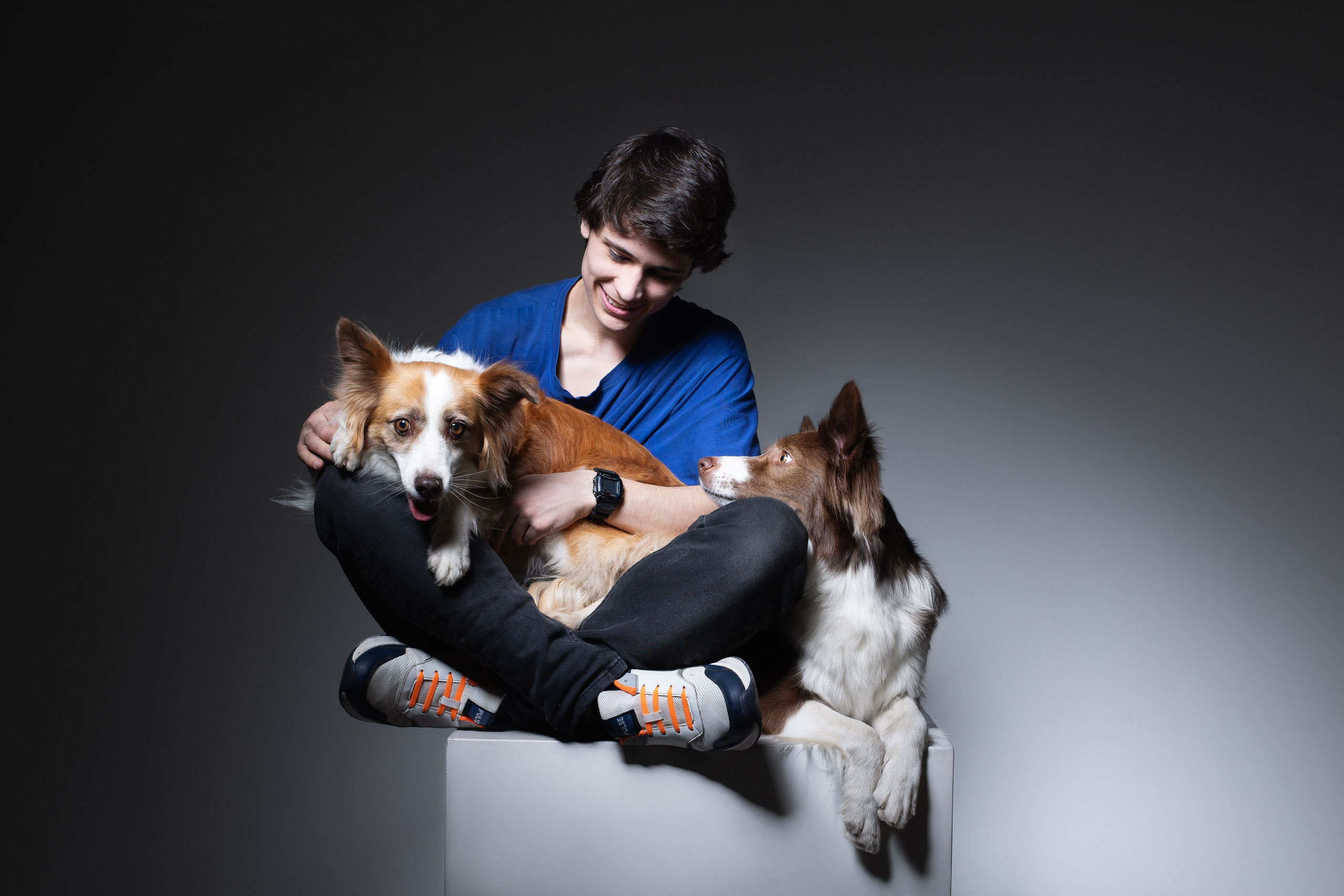 Беатрисс и бордер Вивьен в студии. Фотограф анималист в Москве Майорова Евгения