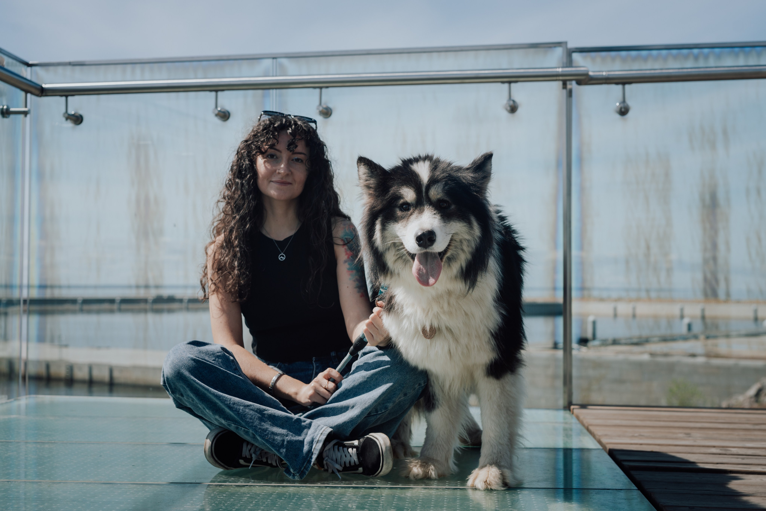 Фотодень с хаски. Фотограф в Санкт-Петербурге и Ленинградской области