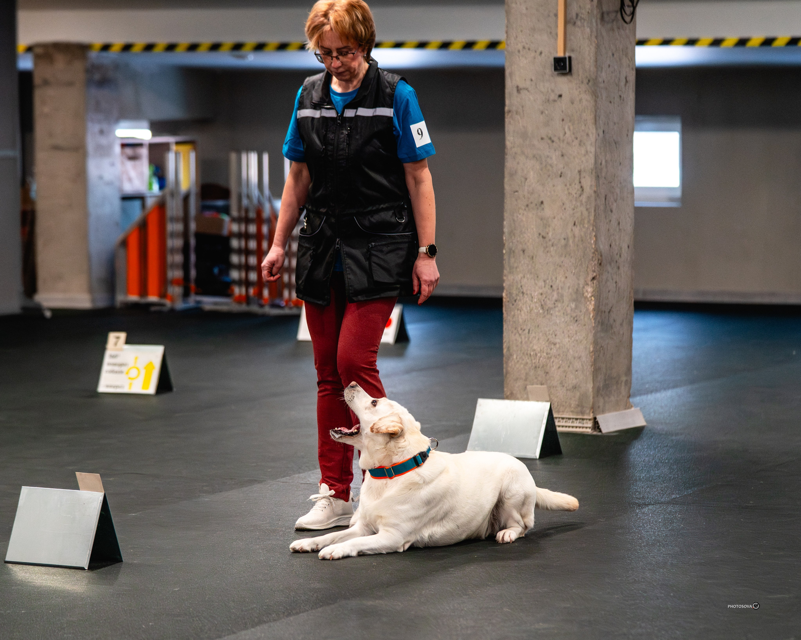 ТЫ И Я (соревнования по ралли-обидиенс). Фотограф-анималист, семейный фотограф в Москве и Подмосковье. Фотосъёмка кинологических дисциплин