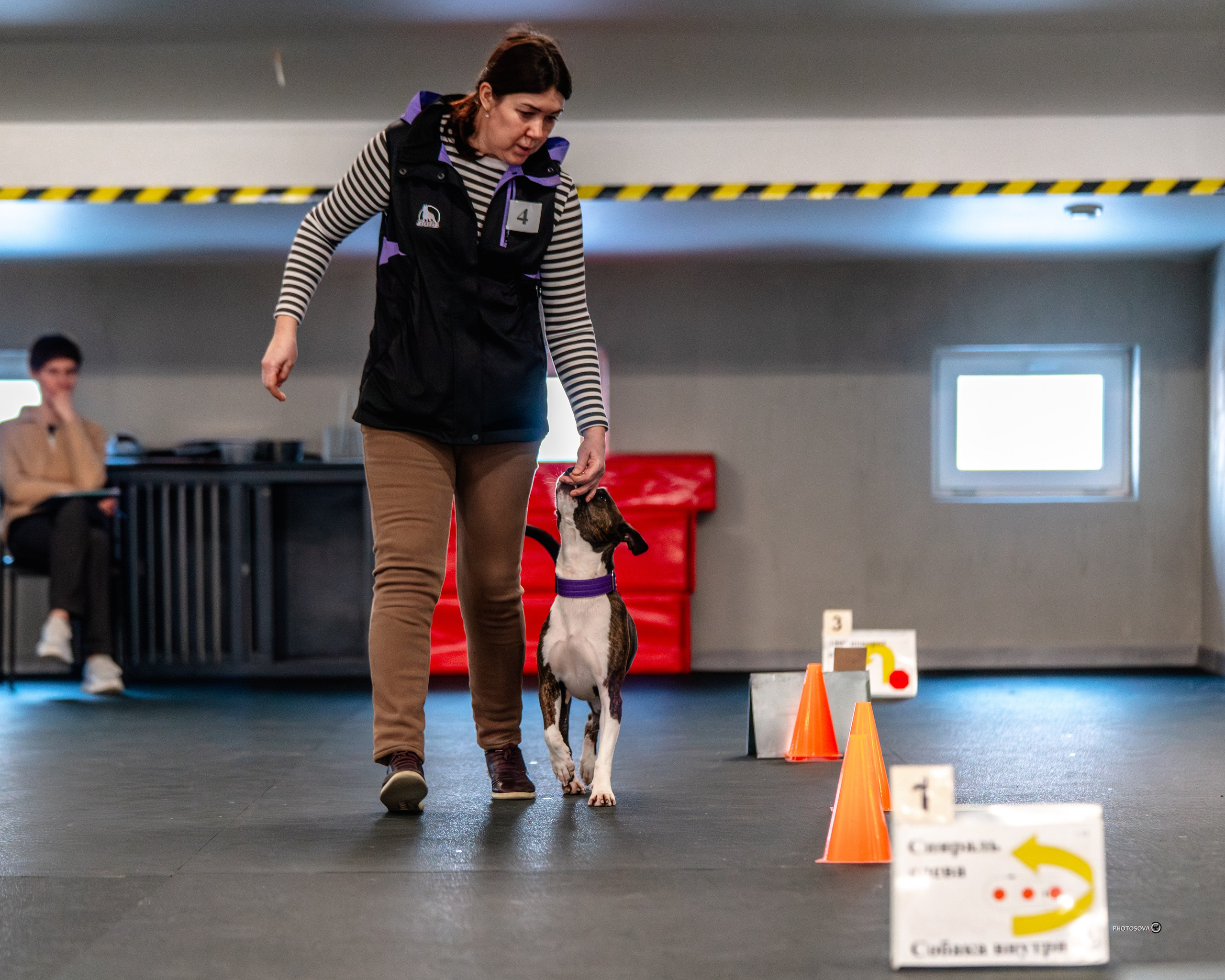 ТЫ И Я (соревнования по ралли-обидиенс). Фотограф-анималист, семейный фотограф в Москве и Подмосковье. Фотосъёмка кинологических дисциплин