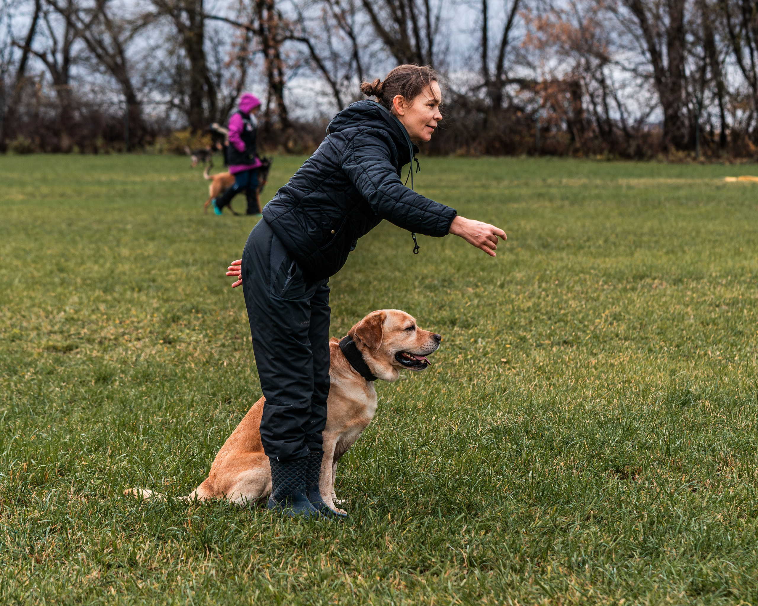 МЫ — КОМАНДА (соревнования) OKD, BH, IBGH, IGP. Фотограф-анималист, семейный фотограф в Москве и Подмосковье. Фотосъёмка кинологических дисциплин