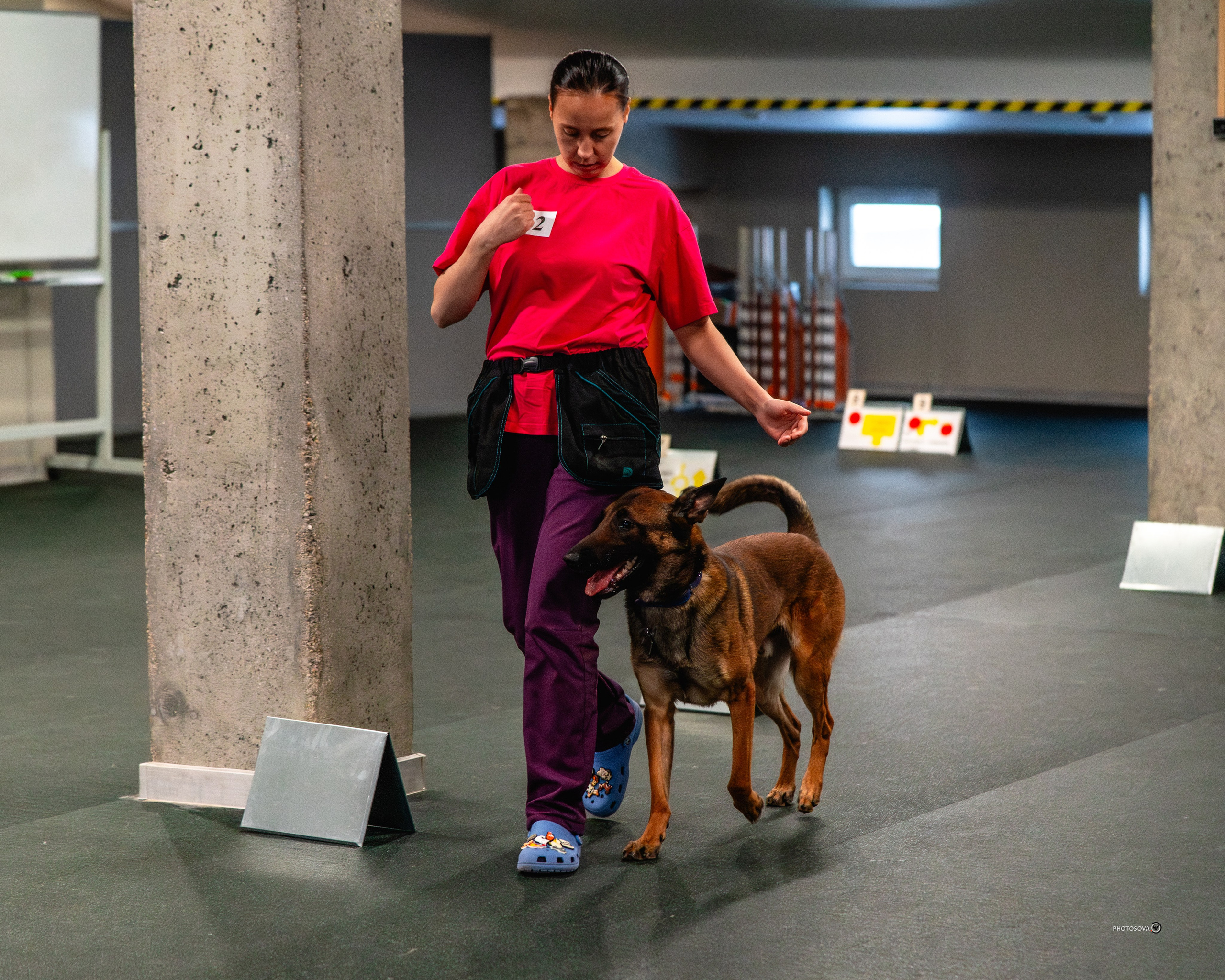 ТЫ И Я (соревнования по ралли-обидиенс). Фотограф-анималист, семейный фотограф в Москве и Подмосковье. Фотосъёмка кинологических дисциплин