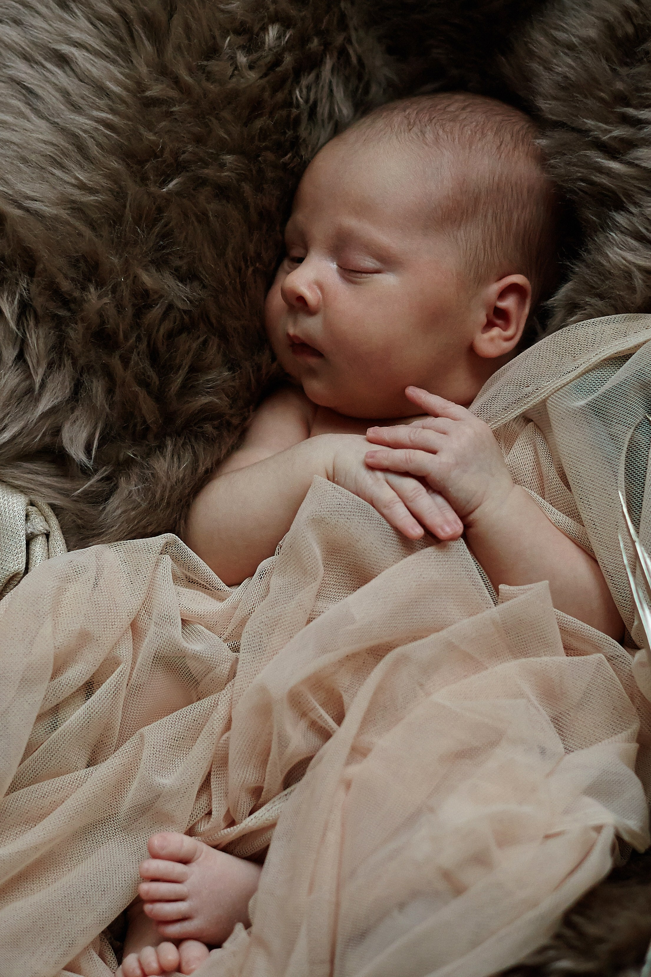 Есения. Фотограф Ольга Ефремова