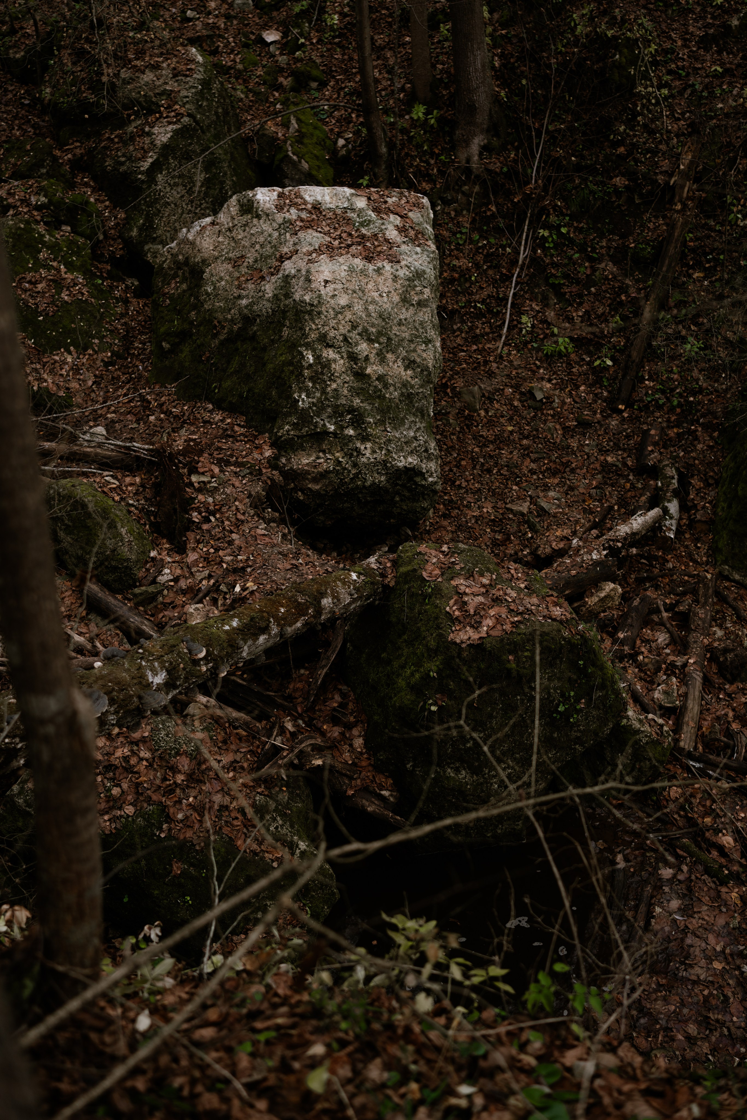 Кольцовские пещеры. Vlad Trykov