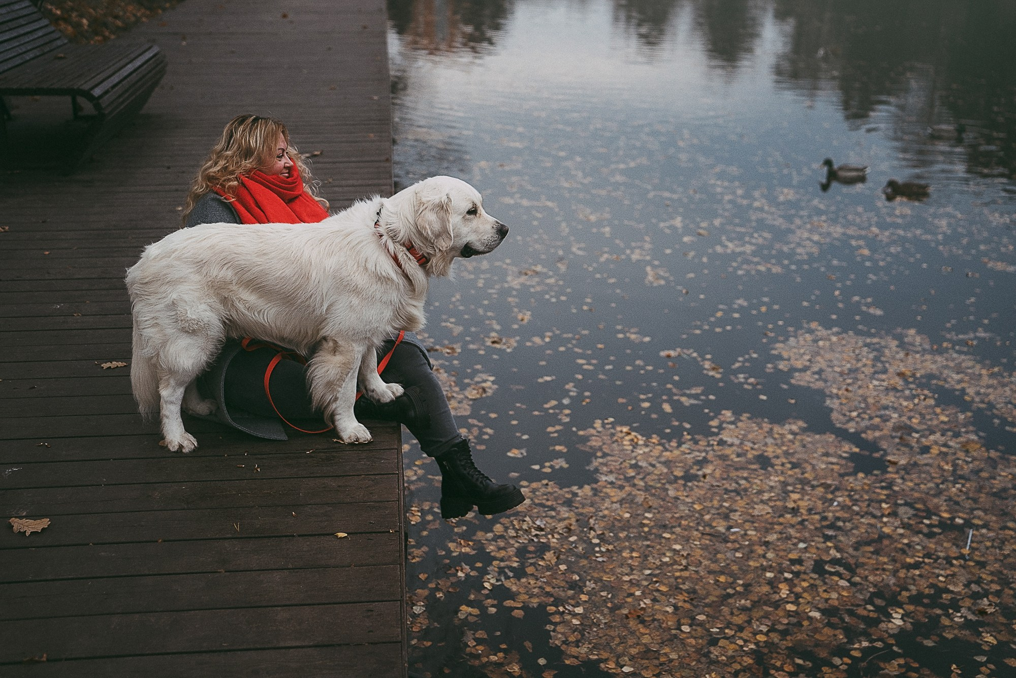 Лена и Мерлин. Фотограф анималист в Москве и Санкт-Петербурге Свиридова Анна