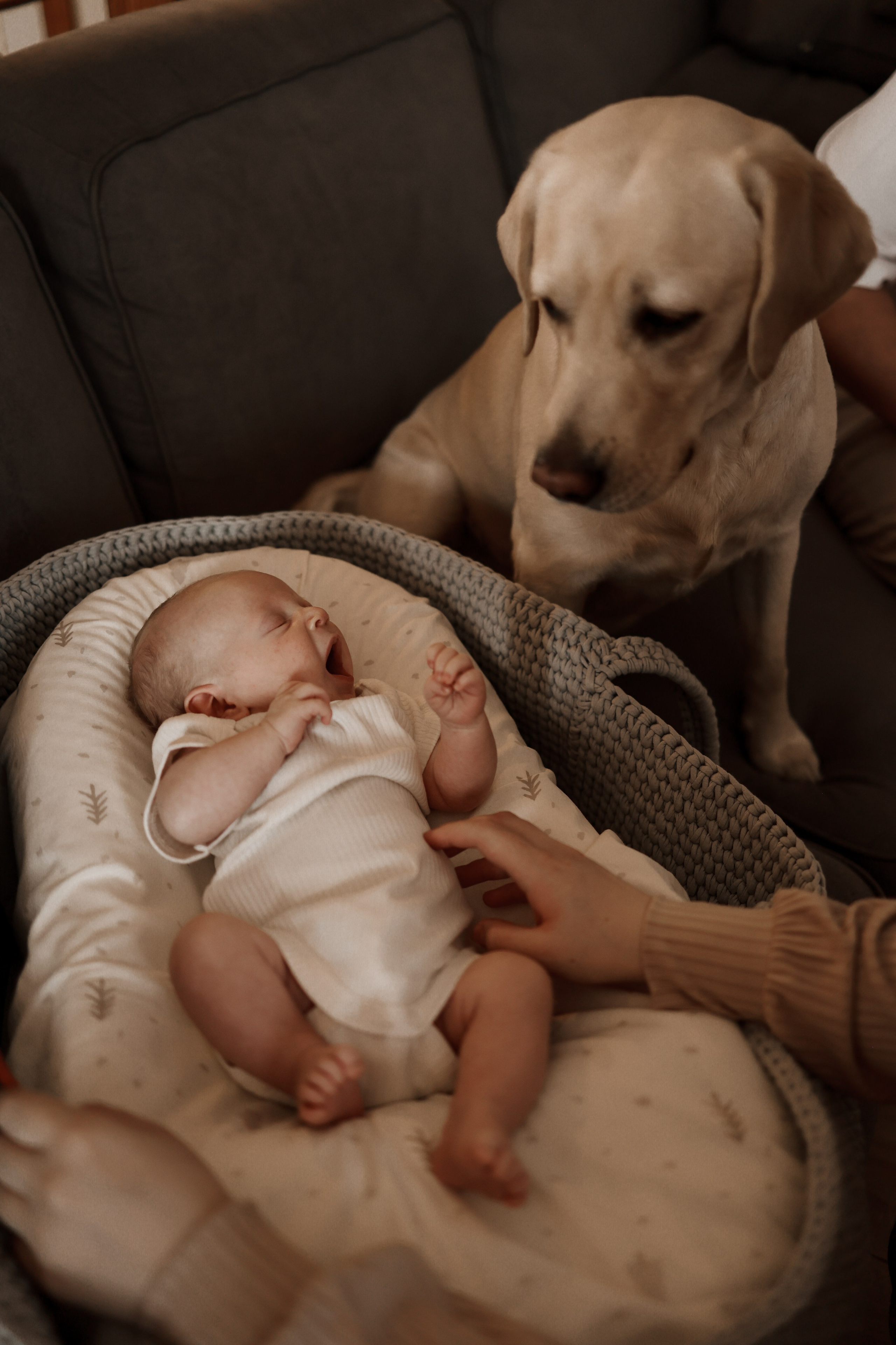 Домашние истории. Фотограф Юлия Говор