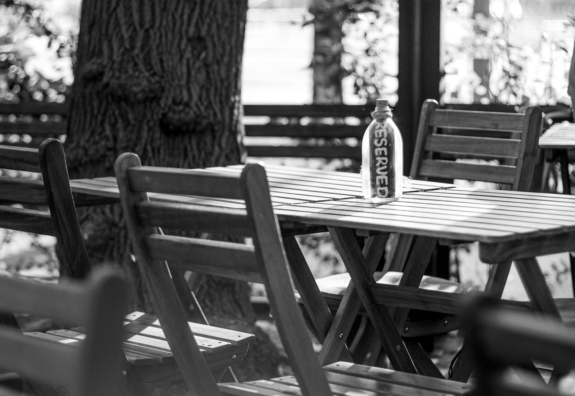 Концерт в летнем кафе Bollo. SaGaFOTO.ru