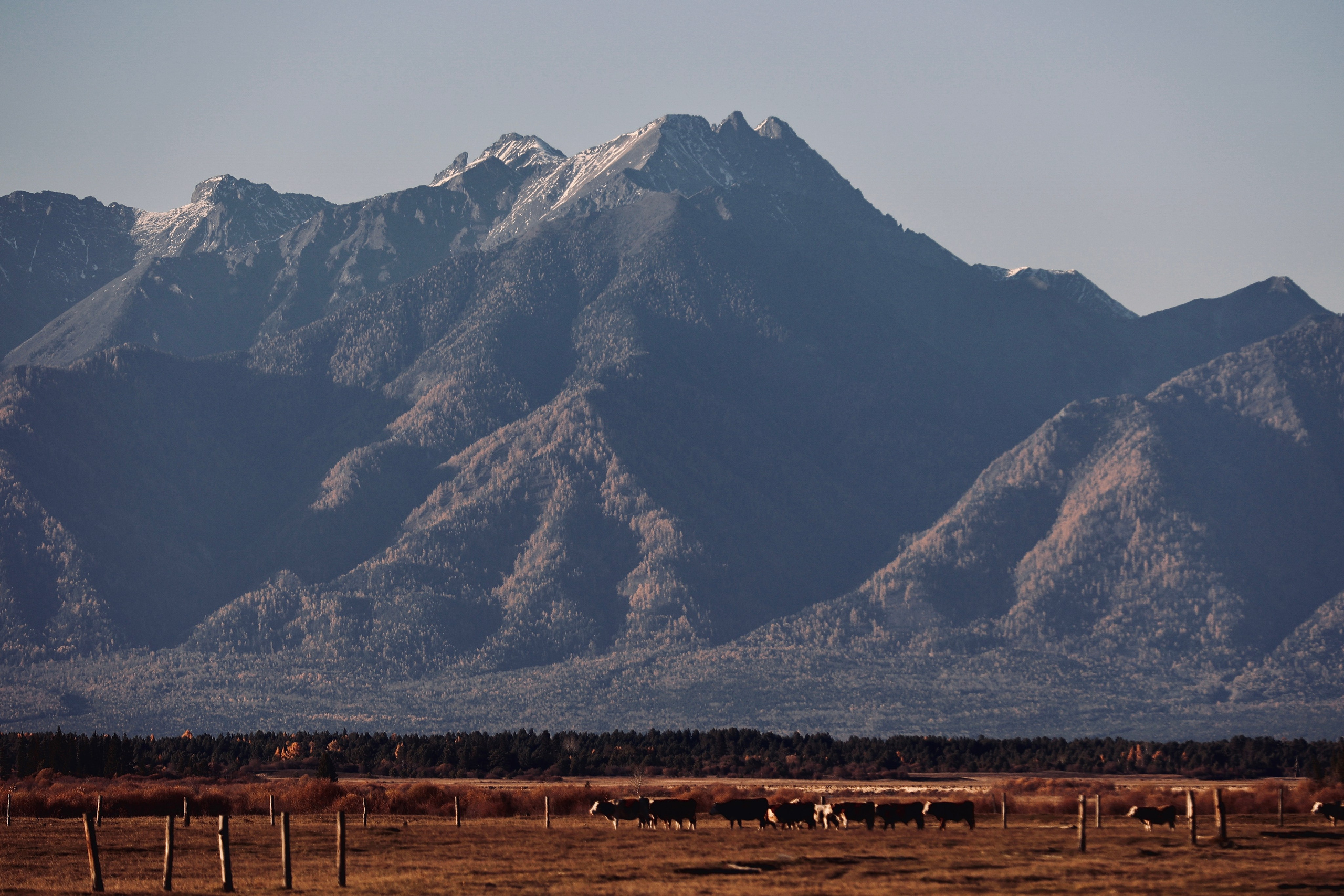 2023. Тащилин Сергей. Фотографии. Жизнь. Хобби