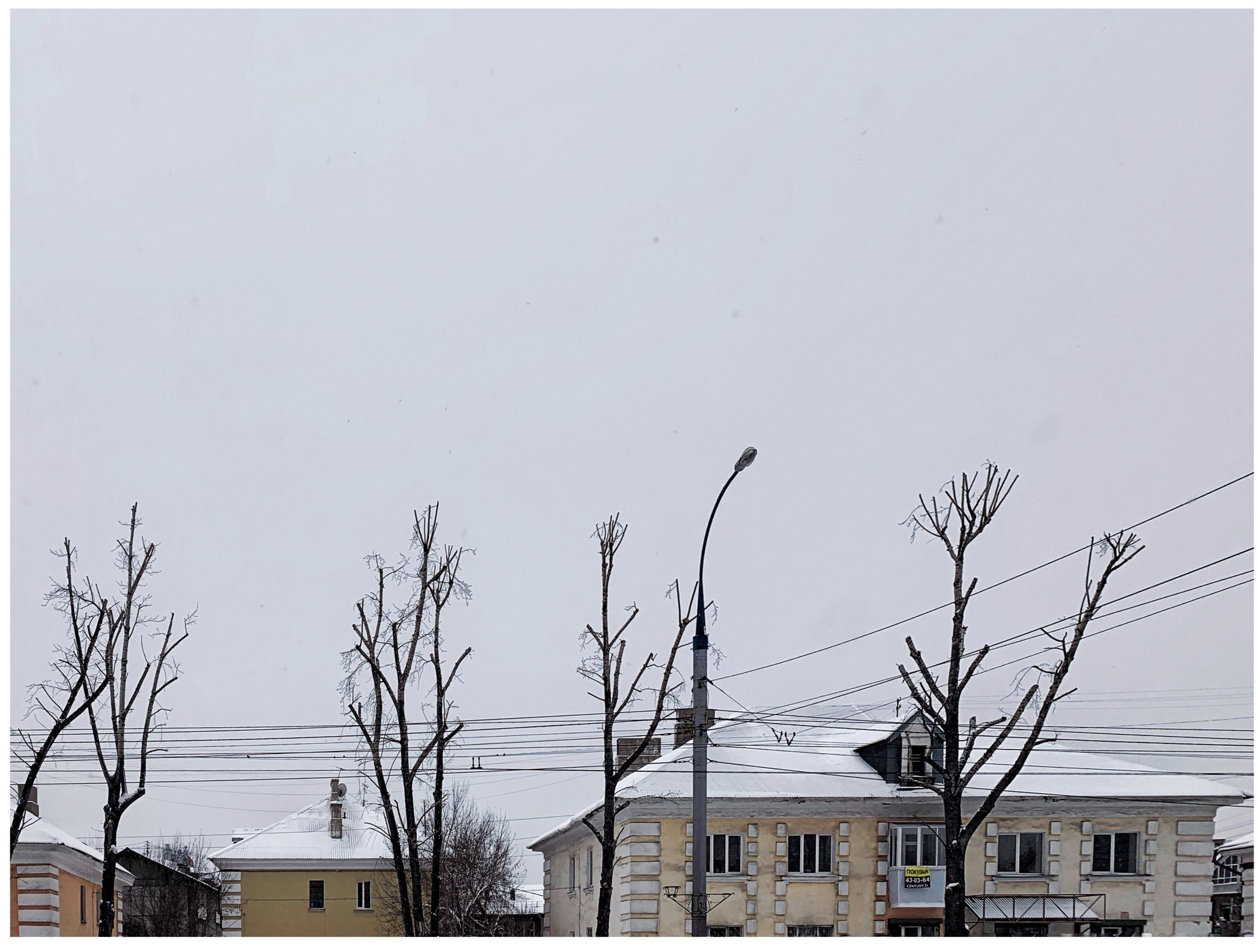 2021. Тащилин Сергей. Фотографии. Жизнь. Хобби