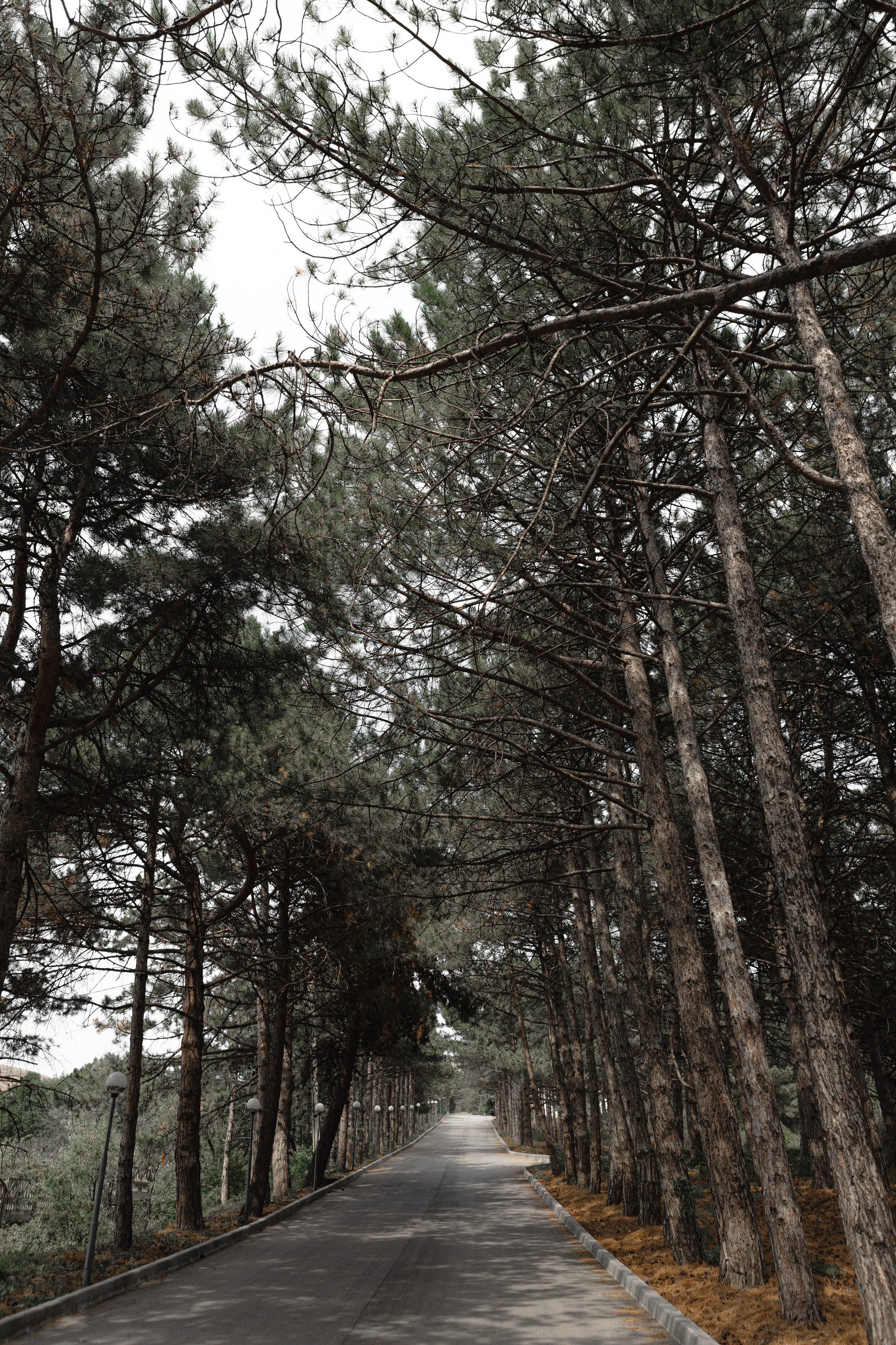 Виноградный завод. Евгения Волошина Фотограф Москва / Белгород