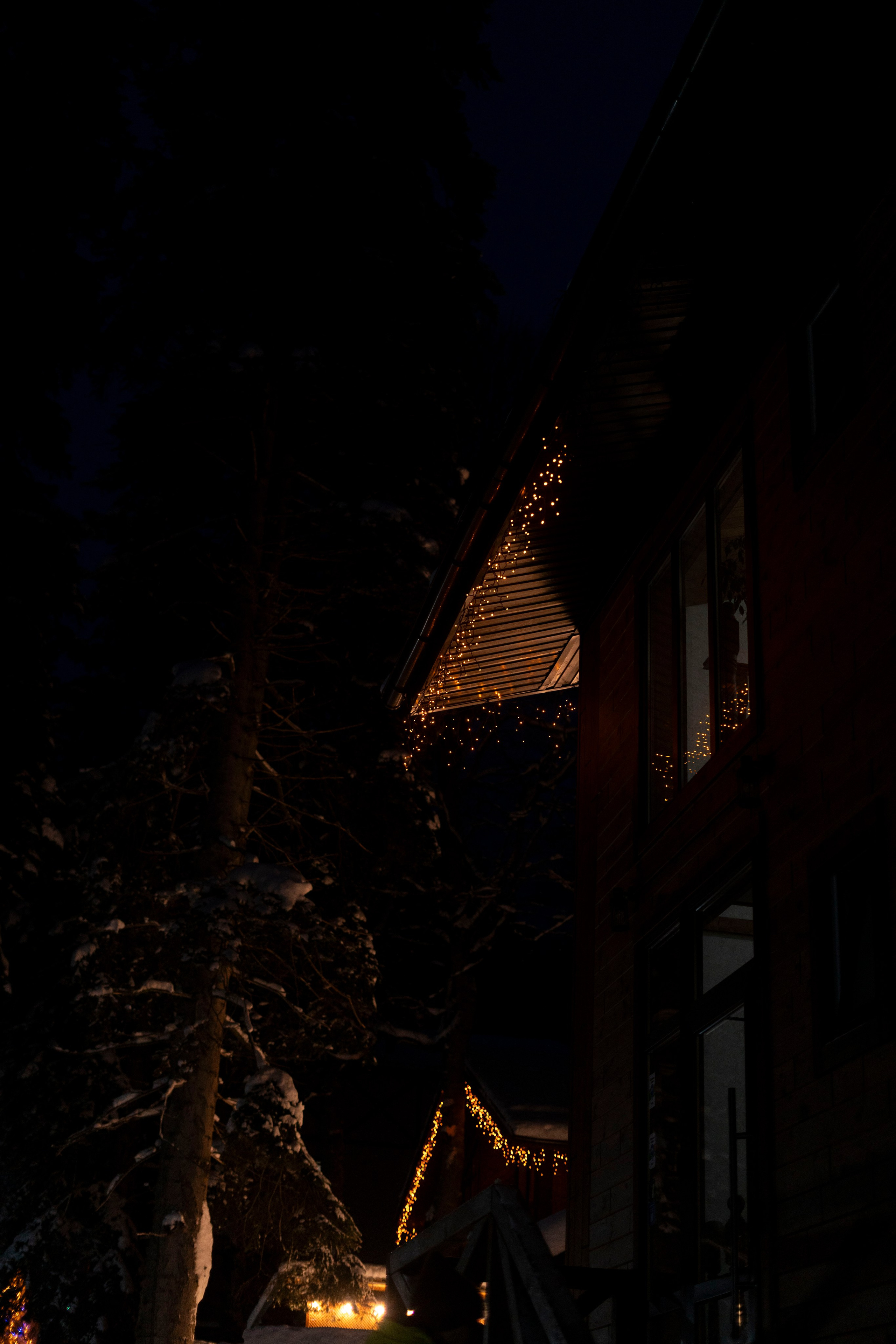 Домбай. Фотограф Александра Волкова | Волгоград