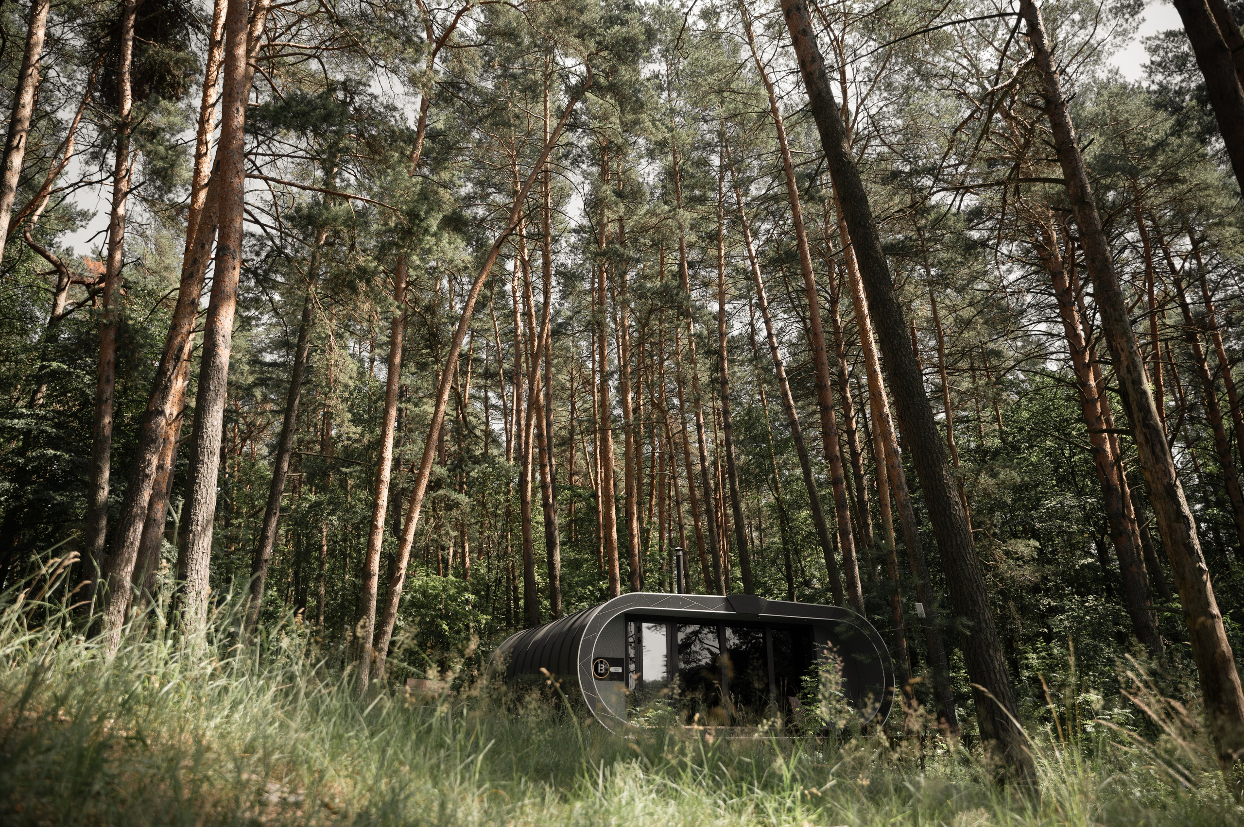 Никита и Оля. Свадебный фотограф Тула