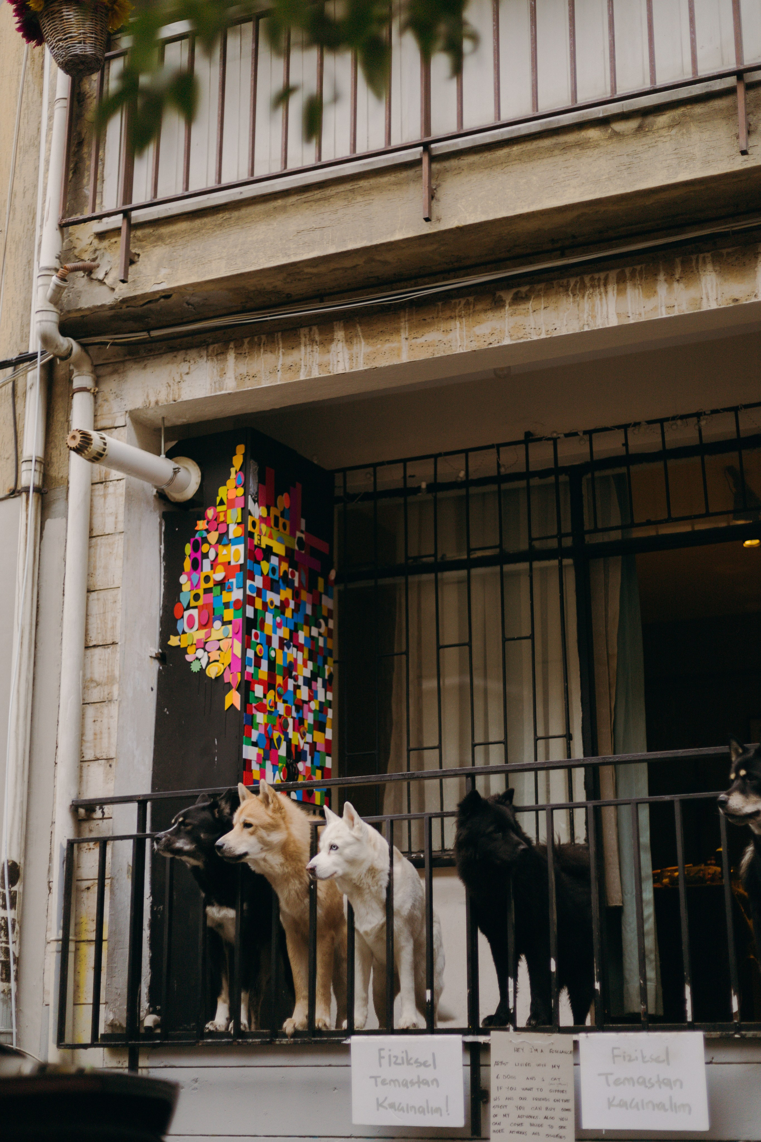 Стамбул. Профессиональный Фотограф во Владимире, в Москве и в Суздале — Полина Романычева