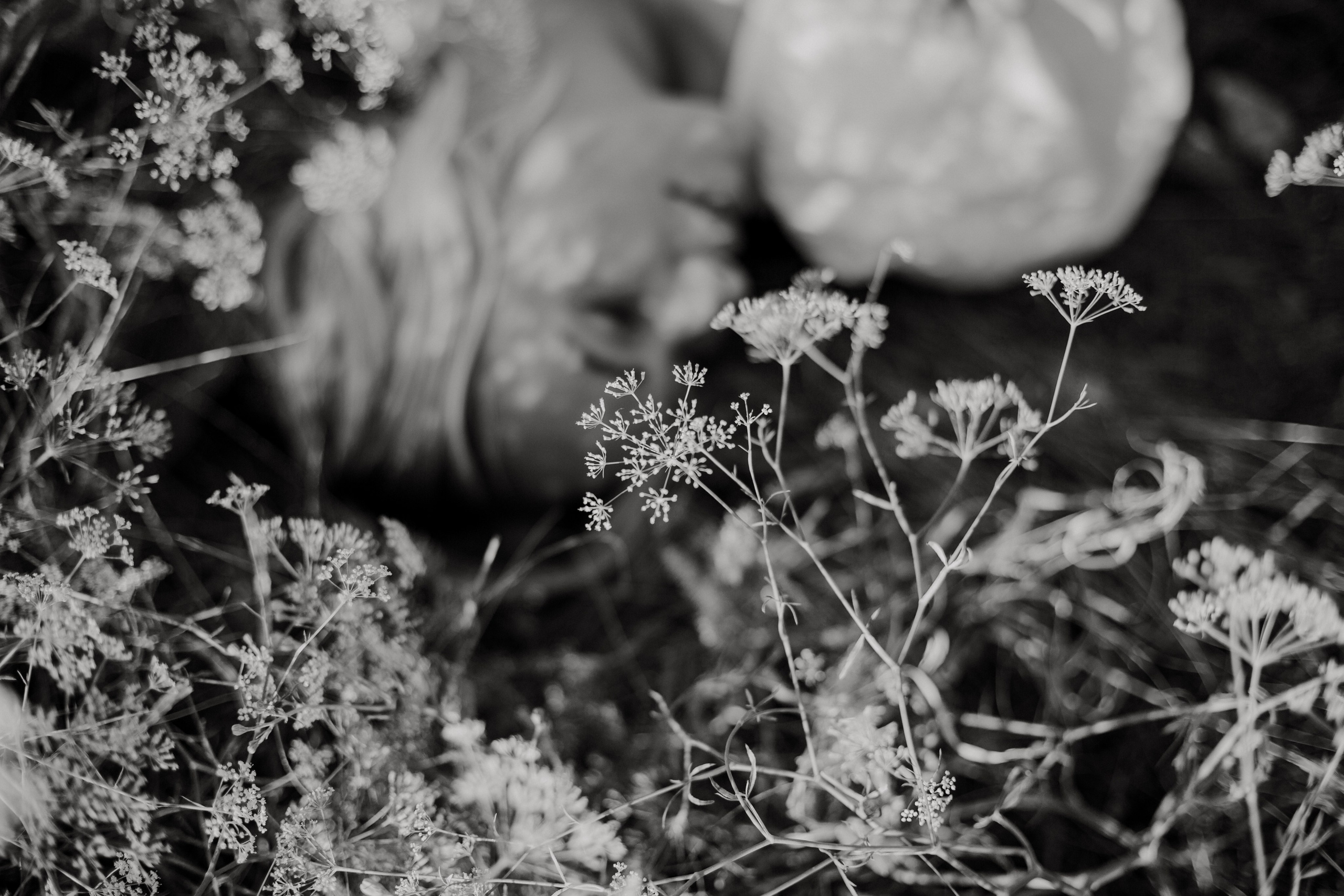 Главная. Фотограф Алёна Дарьина