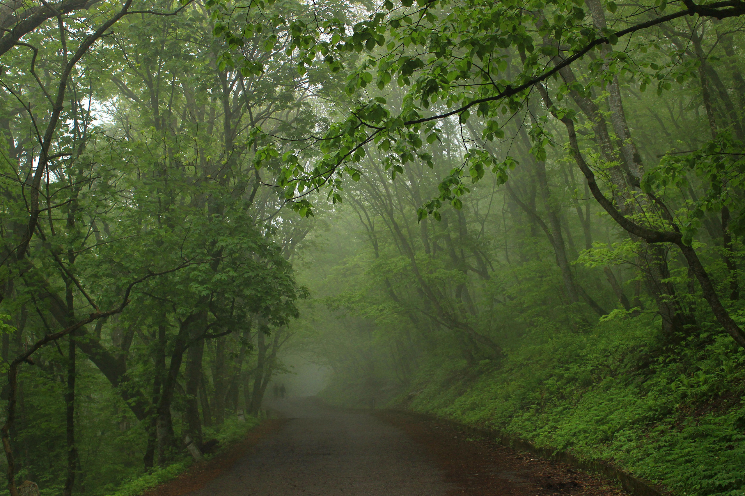Коммерческая съемка. Семейный и детский фотограф Виктория Умаева
