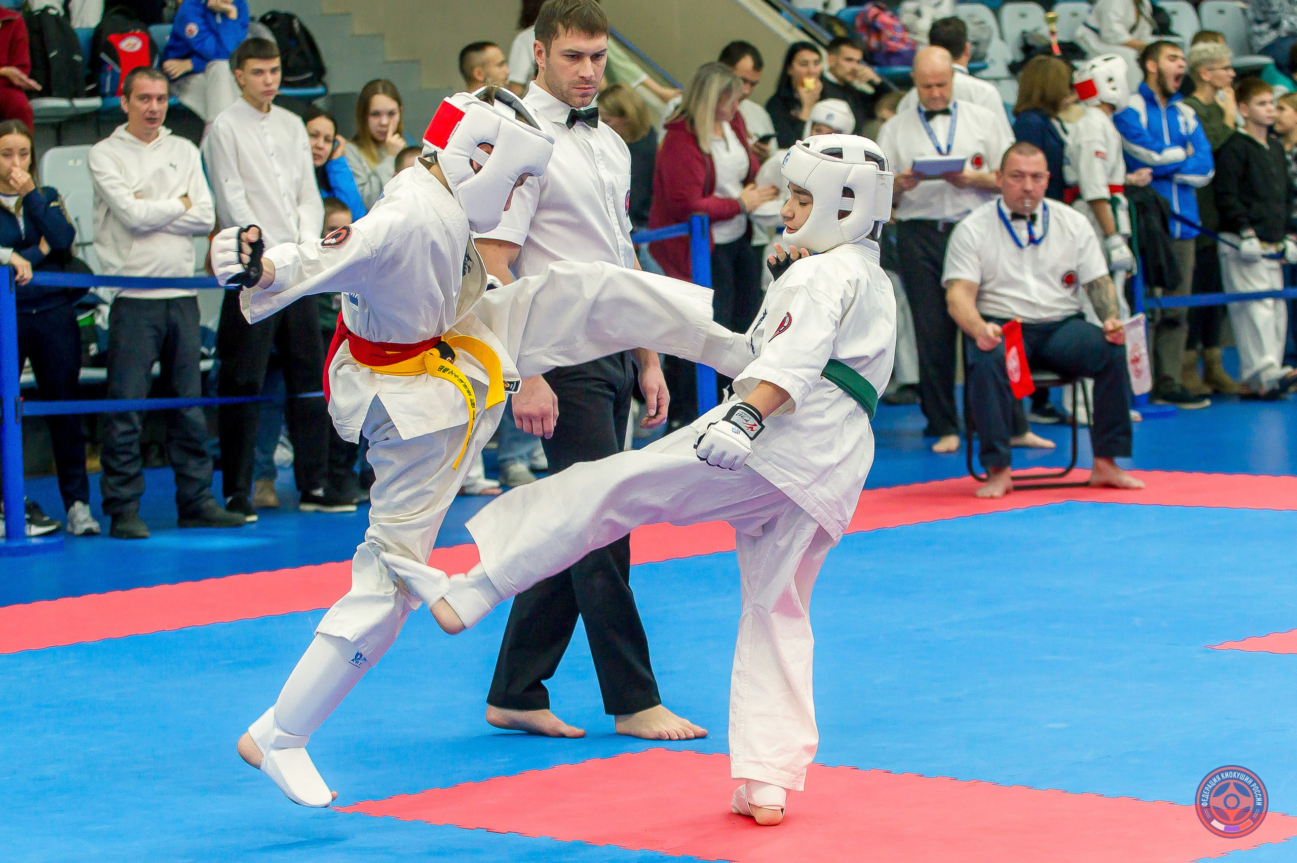 Соревнования по Киокушин памяти С. Увицкого. Репортажная съемка в Москве и области. Анималистика