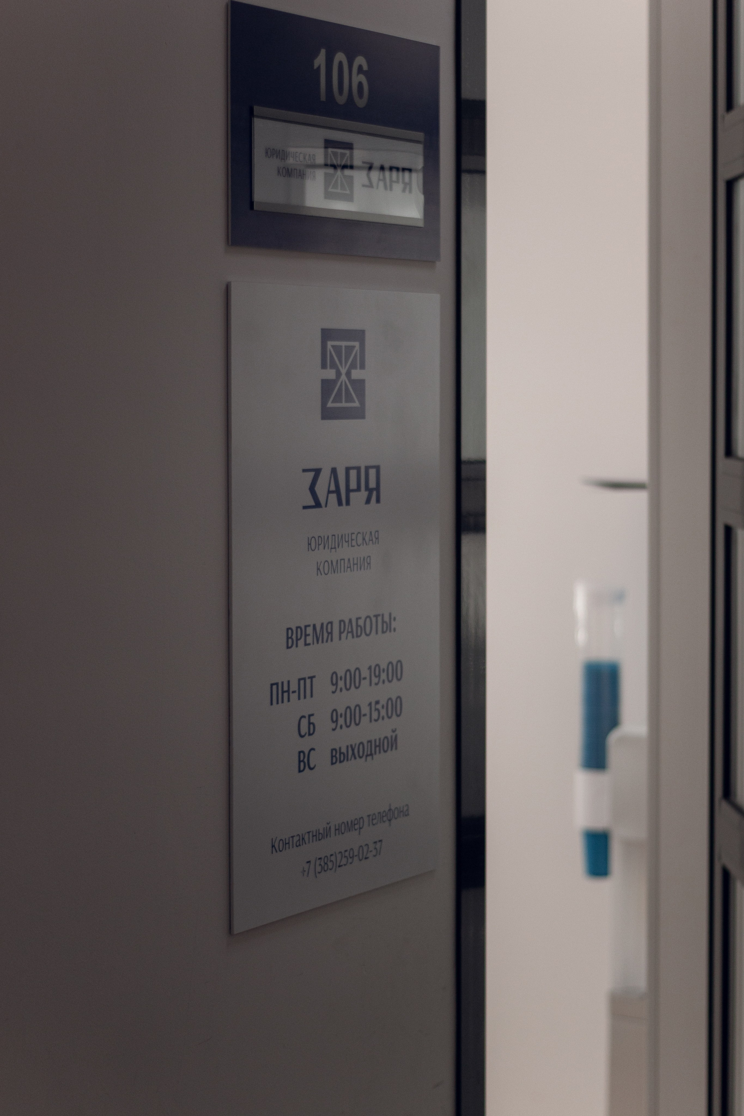 Юридическая компания «ЗАРЯ». Свадебный и семейный фотограф Татьяна Нуякшева Новоалтайск — Барнаул