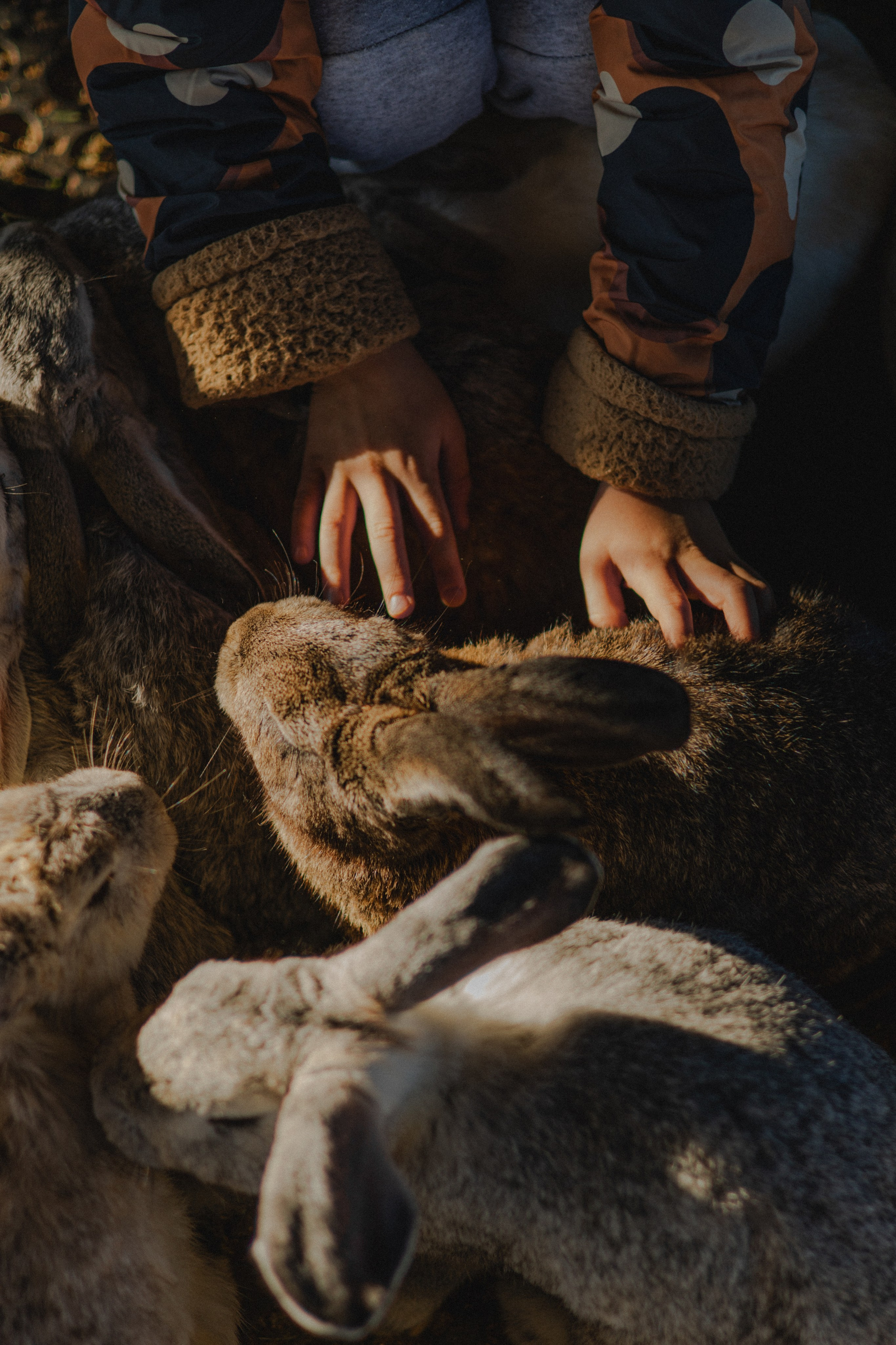 Про семью. Семейный фотограф в Москве