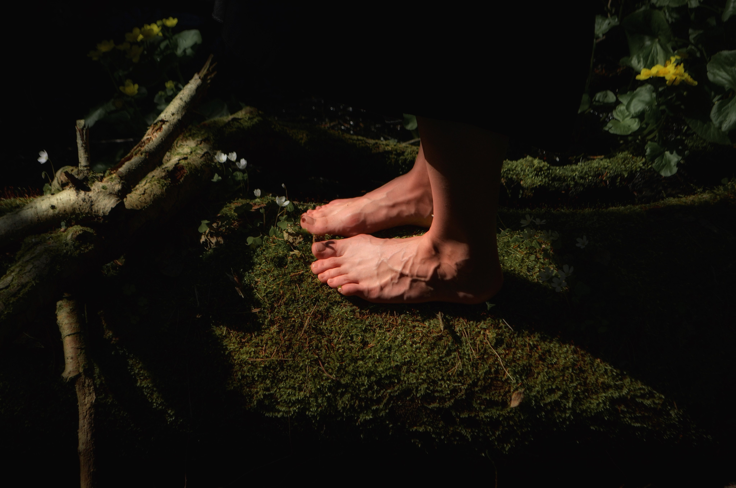 Индивидуальные съёмки. Wirinsens