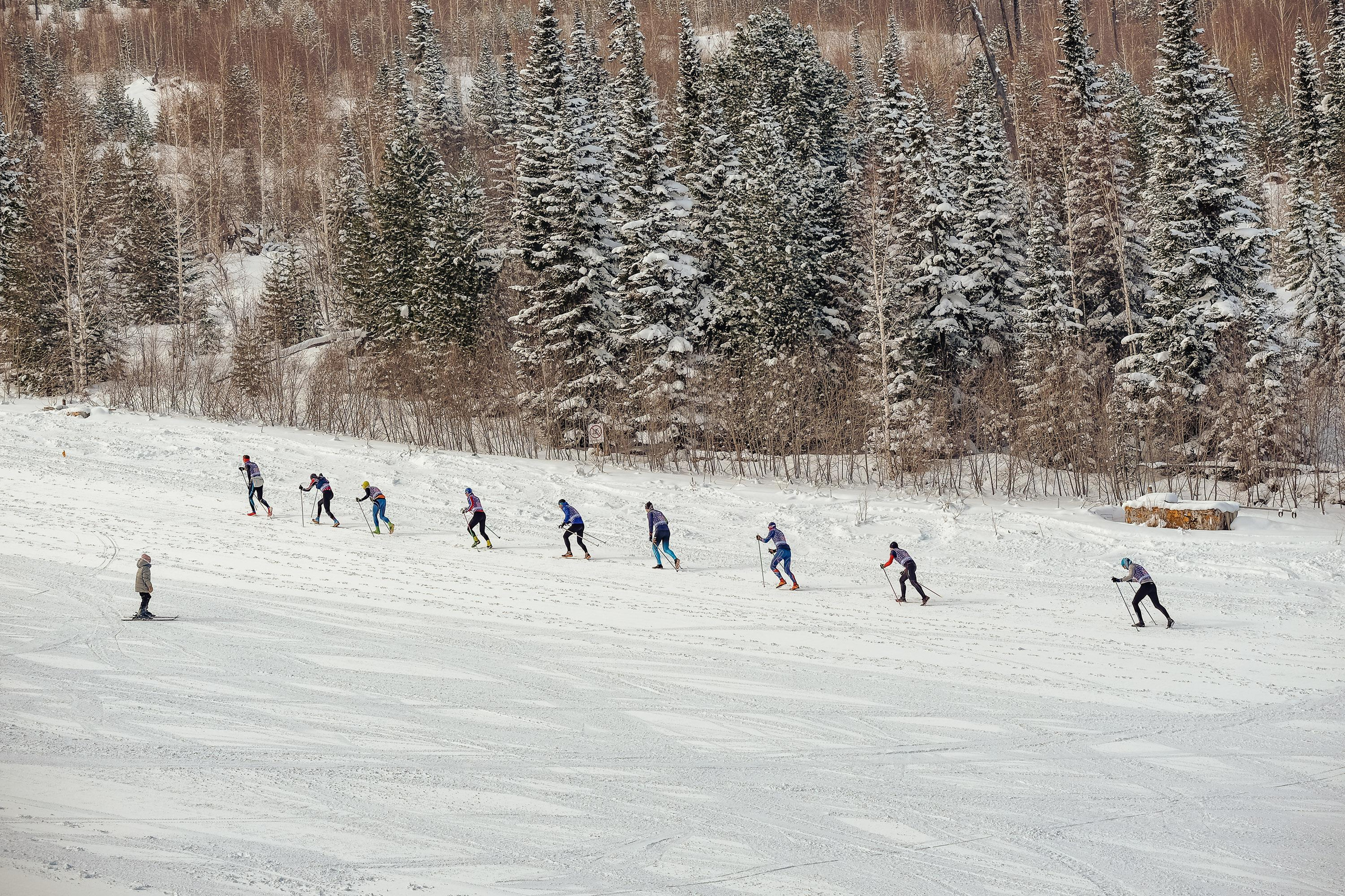 Забег «НА БОРУС» 2023. Фотограф Анна Герман. Красноярск