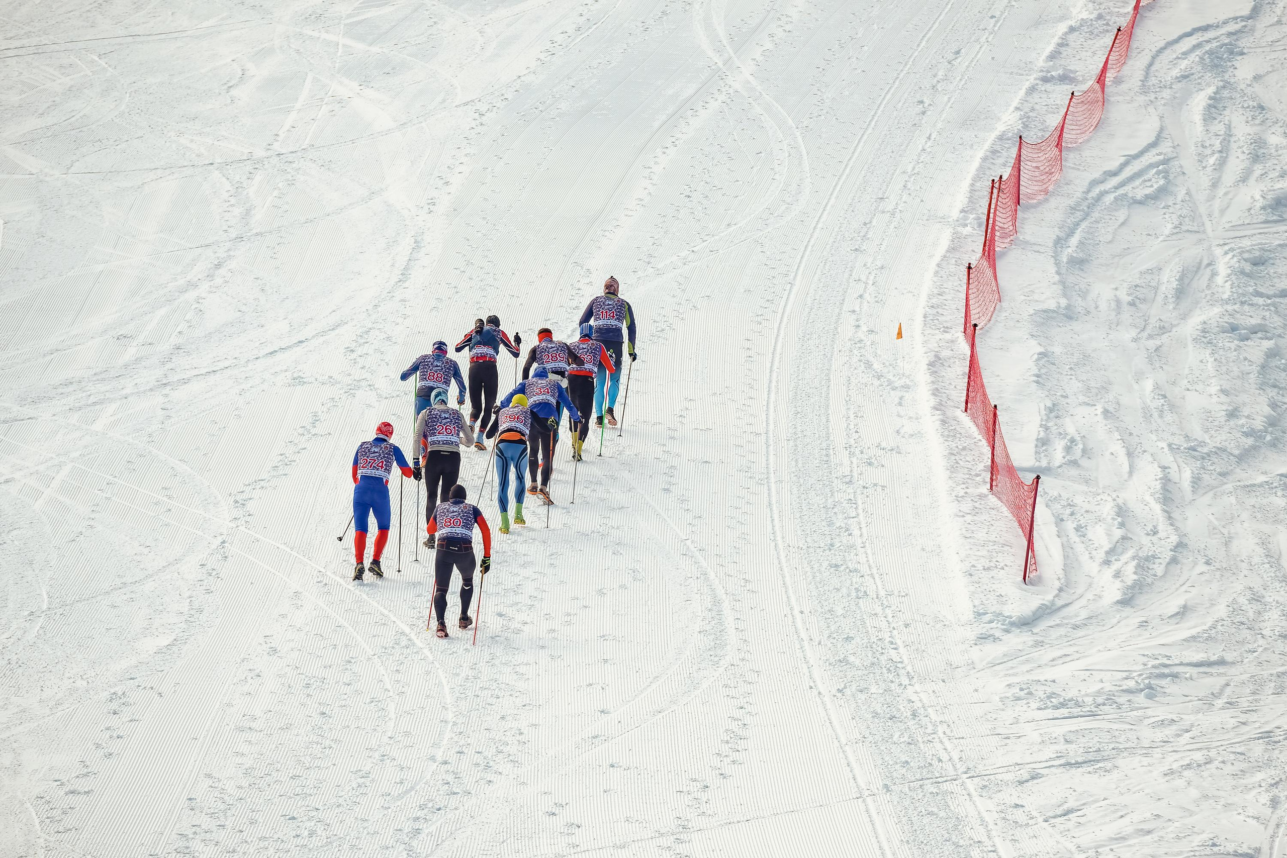 Забег «НА БОРУС» 2023. Фотограф Анна Герман. Красноярск