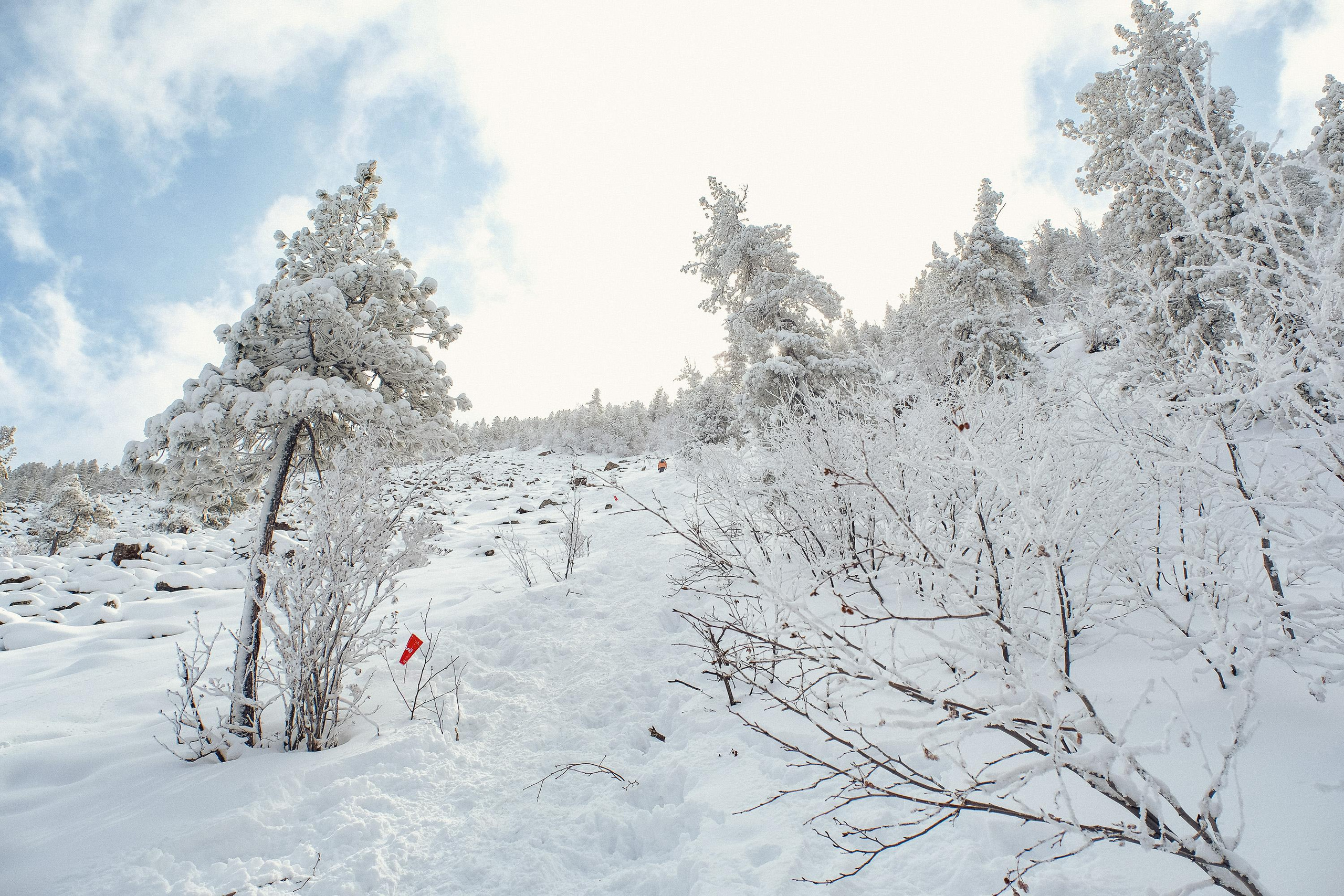 Забег «НА БОРУС» 2023. Фотограф Анна Герман. Красноярск