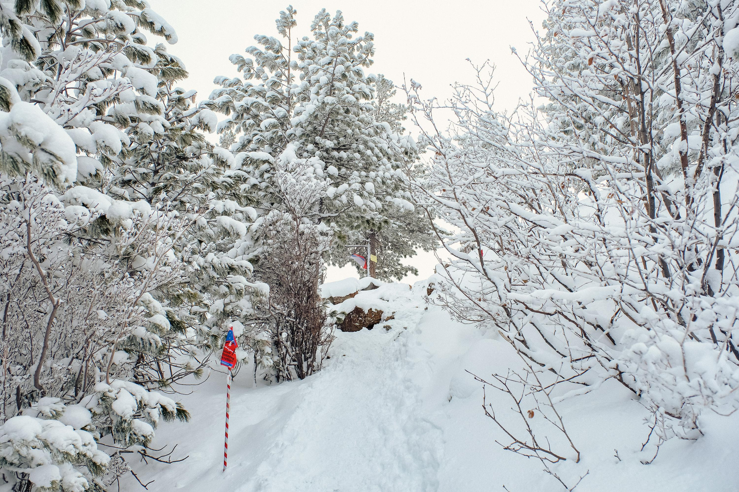 Забег «НА БОРУС» 2023. Фотограф Анна Герман. Красноярск