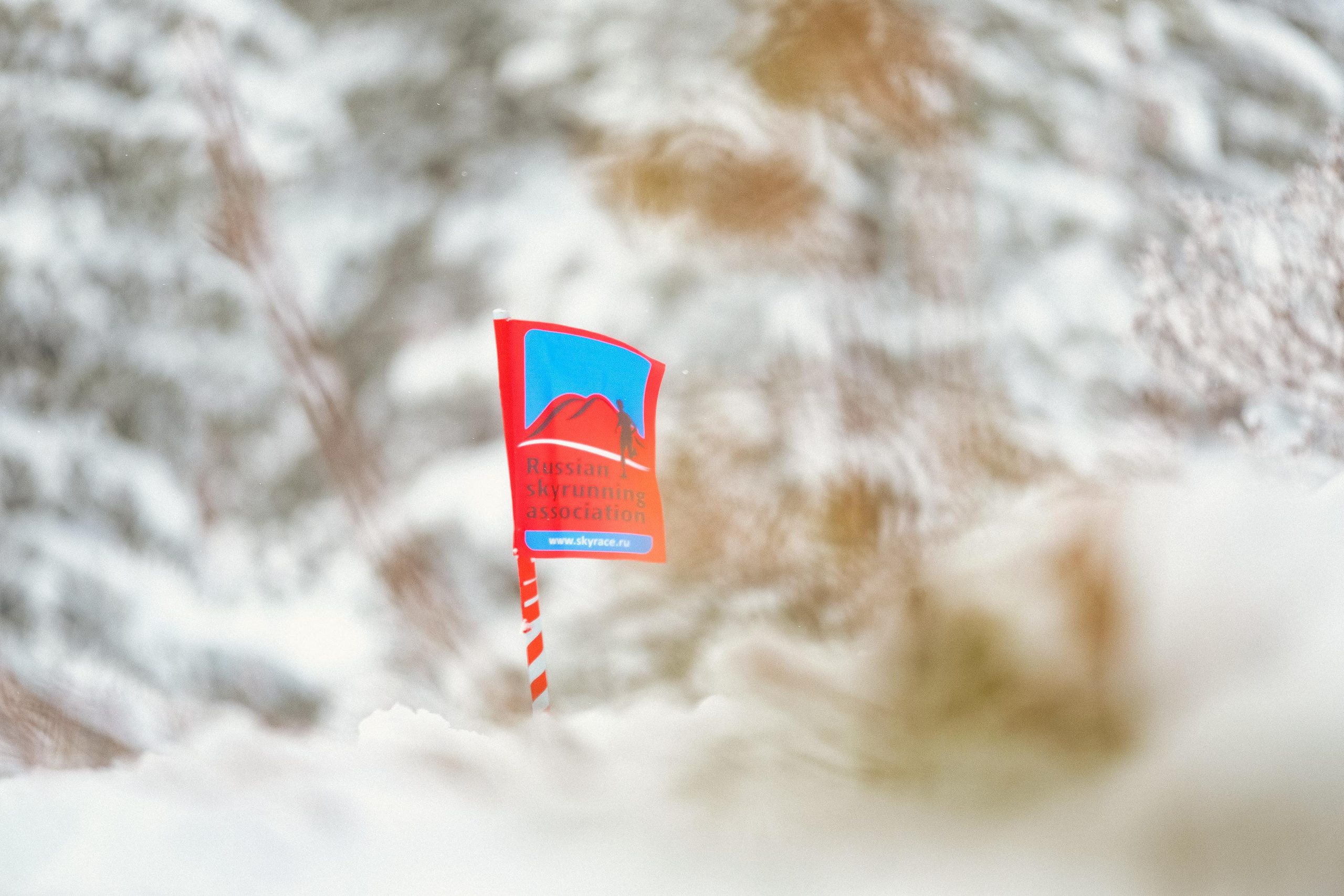 Забег «НА БОРУС» 2023. Фотограф Анна Герман. Красноярск