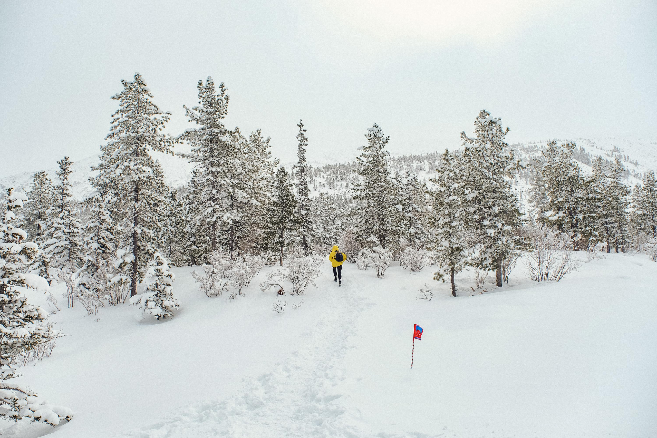 Забег «НА БОРУС» 2023. Фотограф Анна Герман. Красноярск