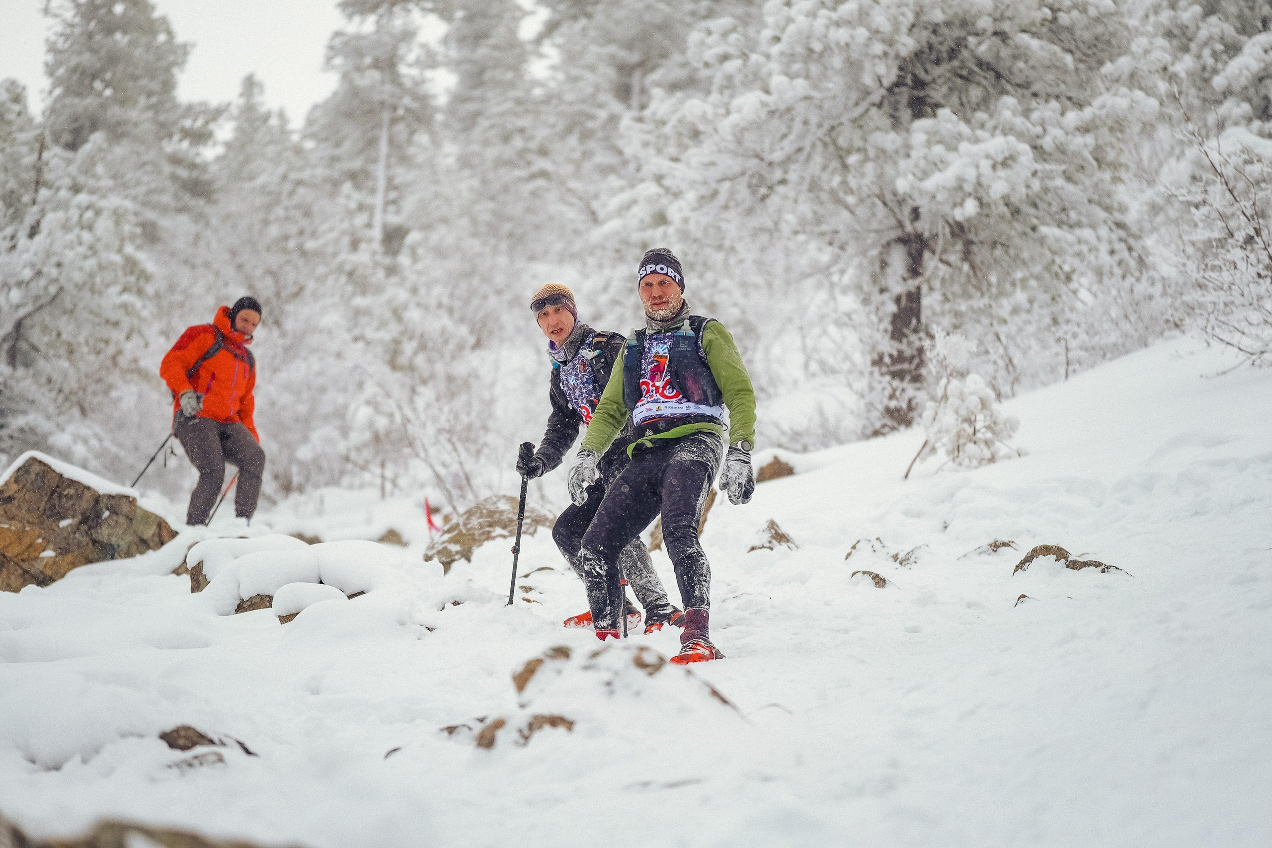 Забег «НА БОРУС» 2023. Фотограф Анна Герман. Красноярск