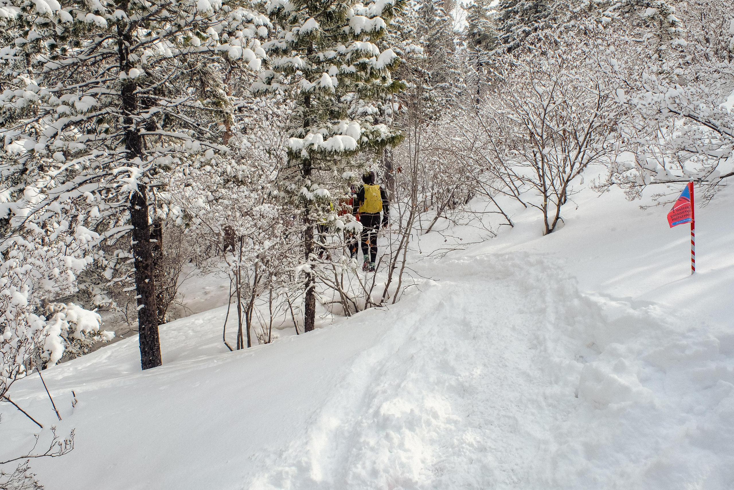 Забег «НА БОРУС» 2023. Фотограф Анна Герман. Красноярск