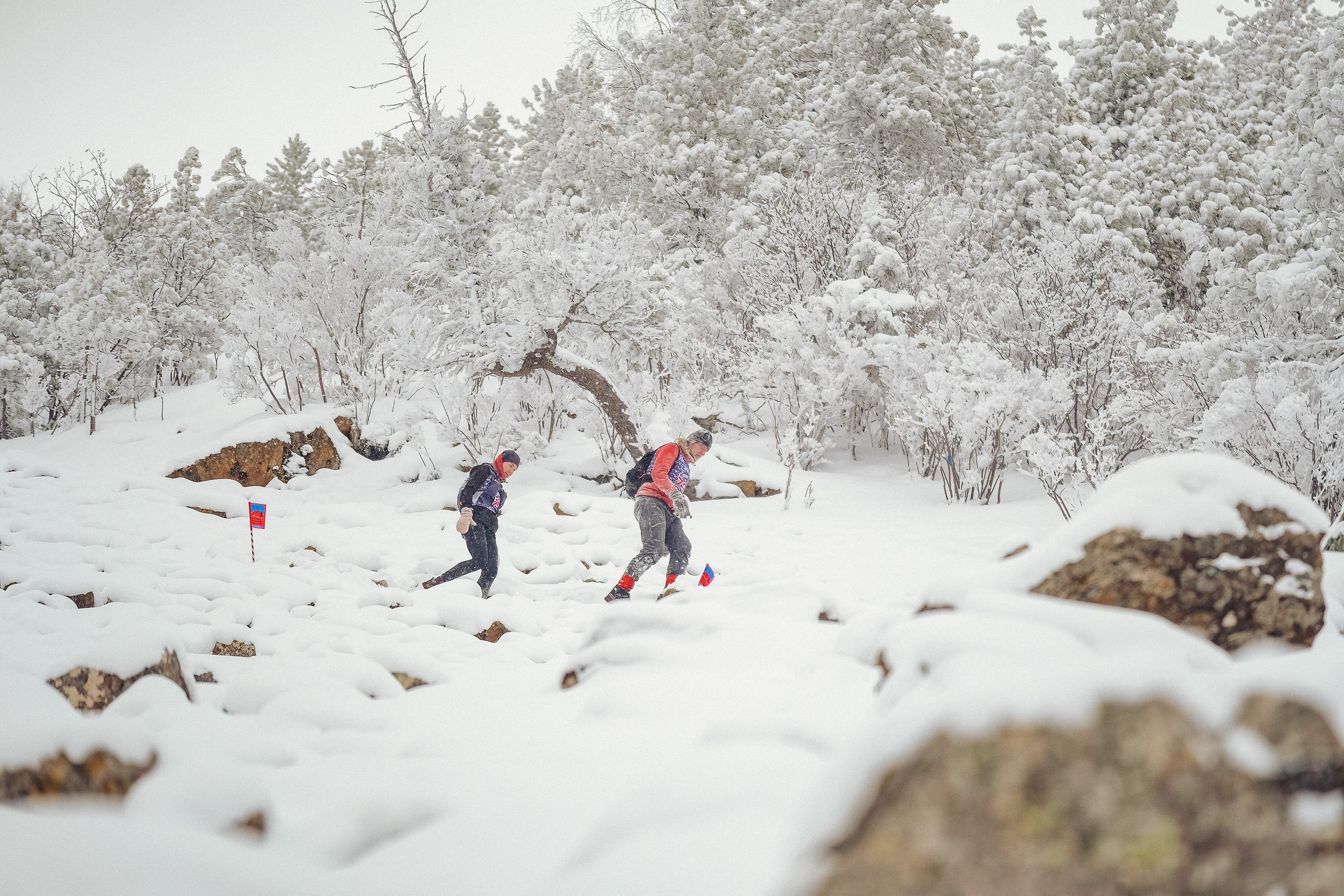 Забег «НА БОРУС» 2023. Фотограф Анна Герман. Красноярск